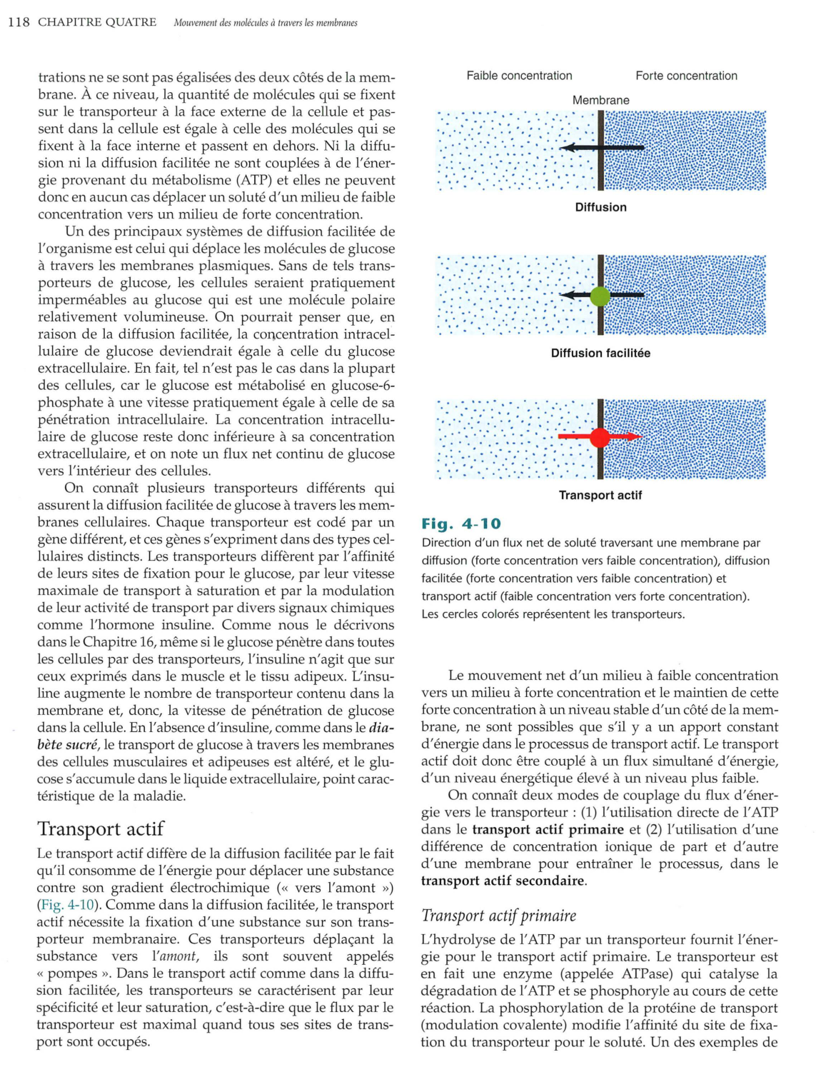 Vander 5ed 109-119 page 10