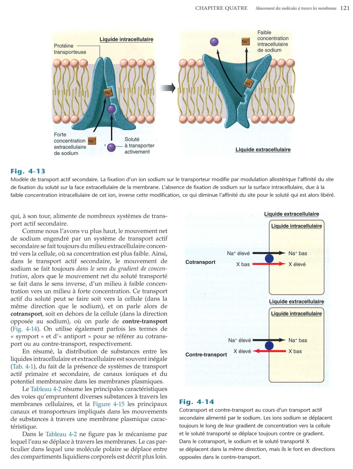 Vander 5ed 120-134 page 2