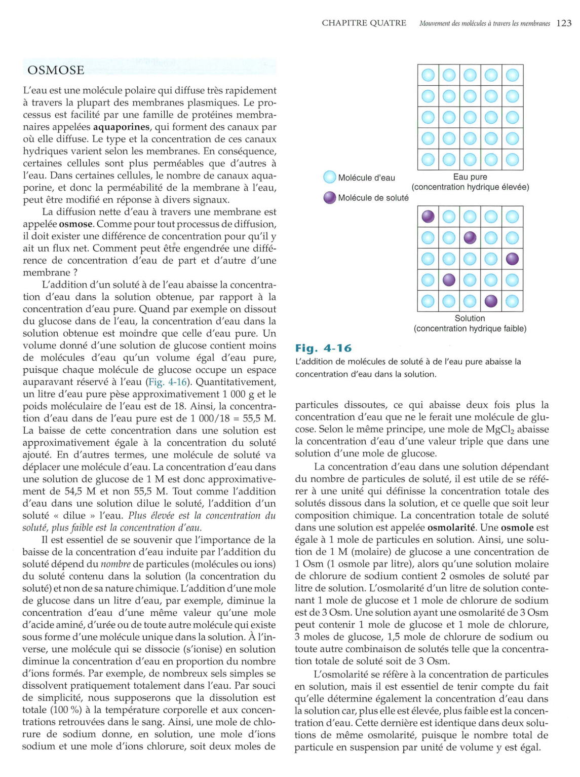 Vander 5ed 120-134 page 4