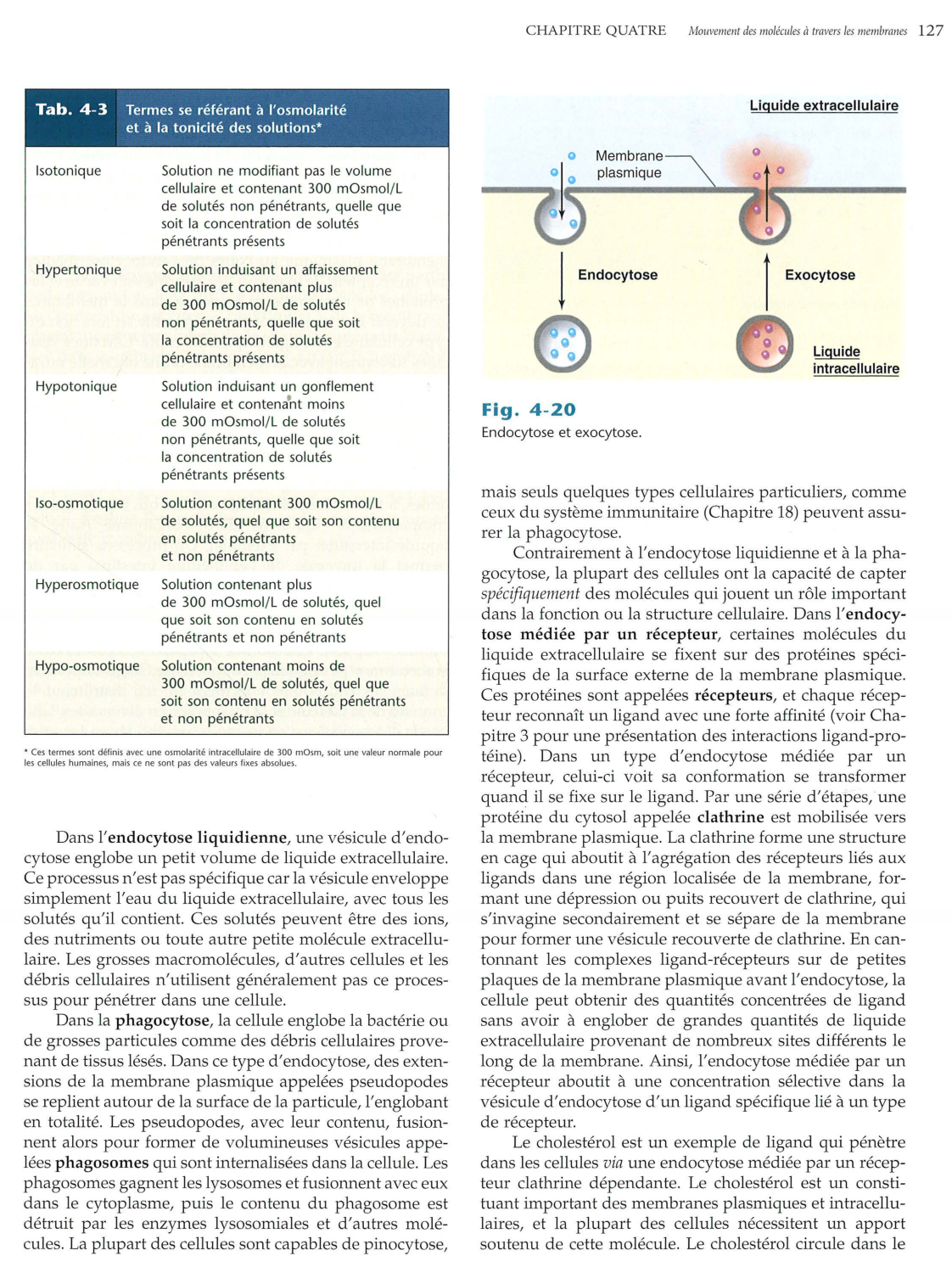 Vander 5ed 120-134 page 8
