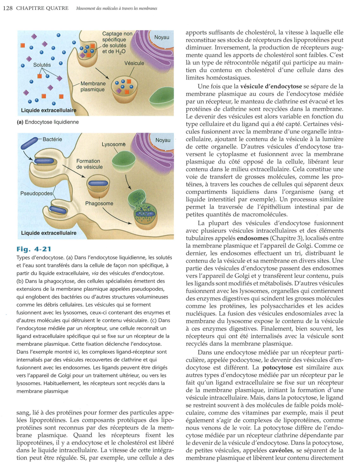Vander 5ed 120-134 page 9