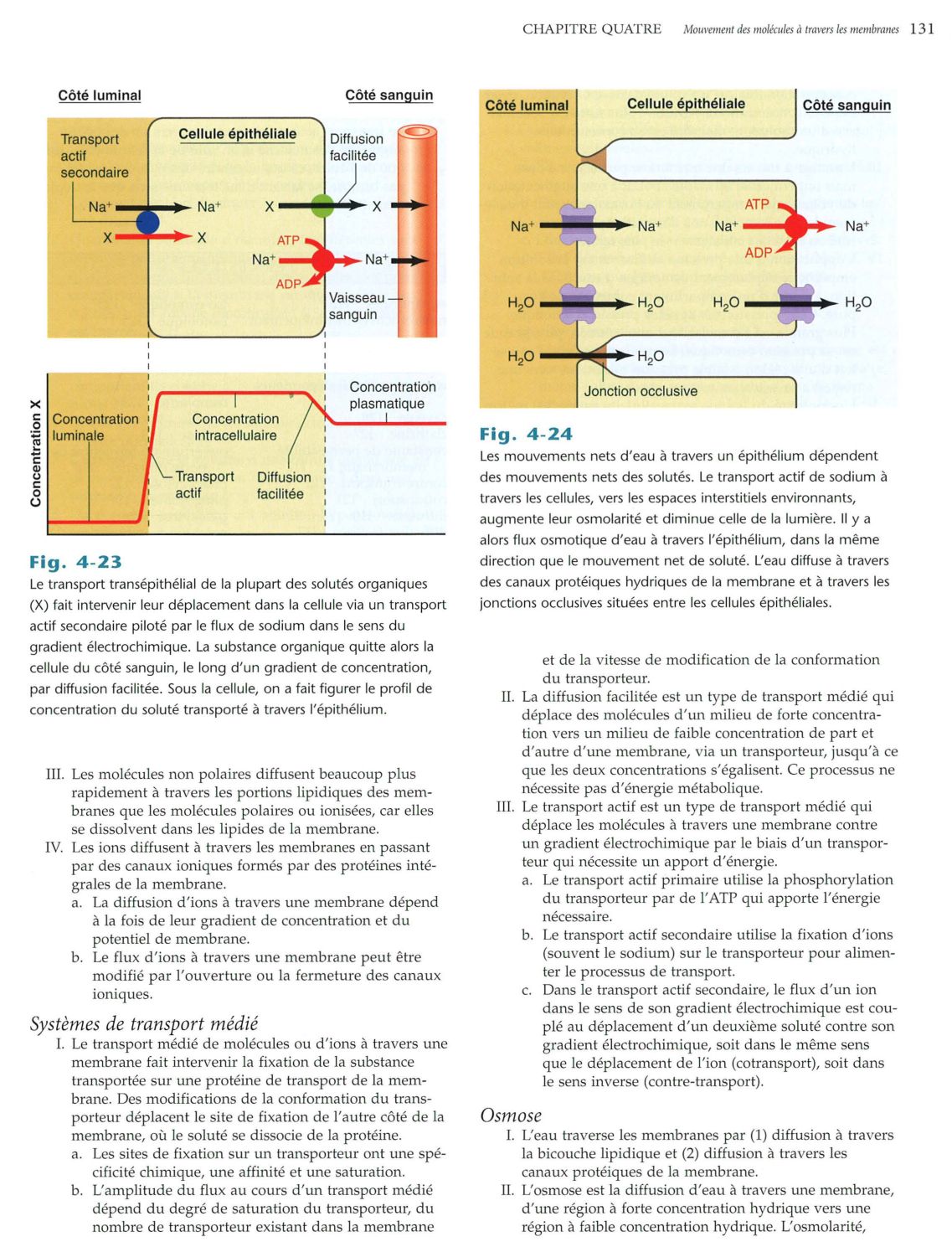 Vander 5ed 120-134 page 12