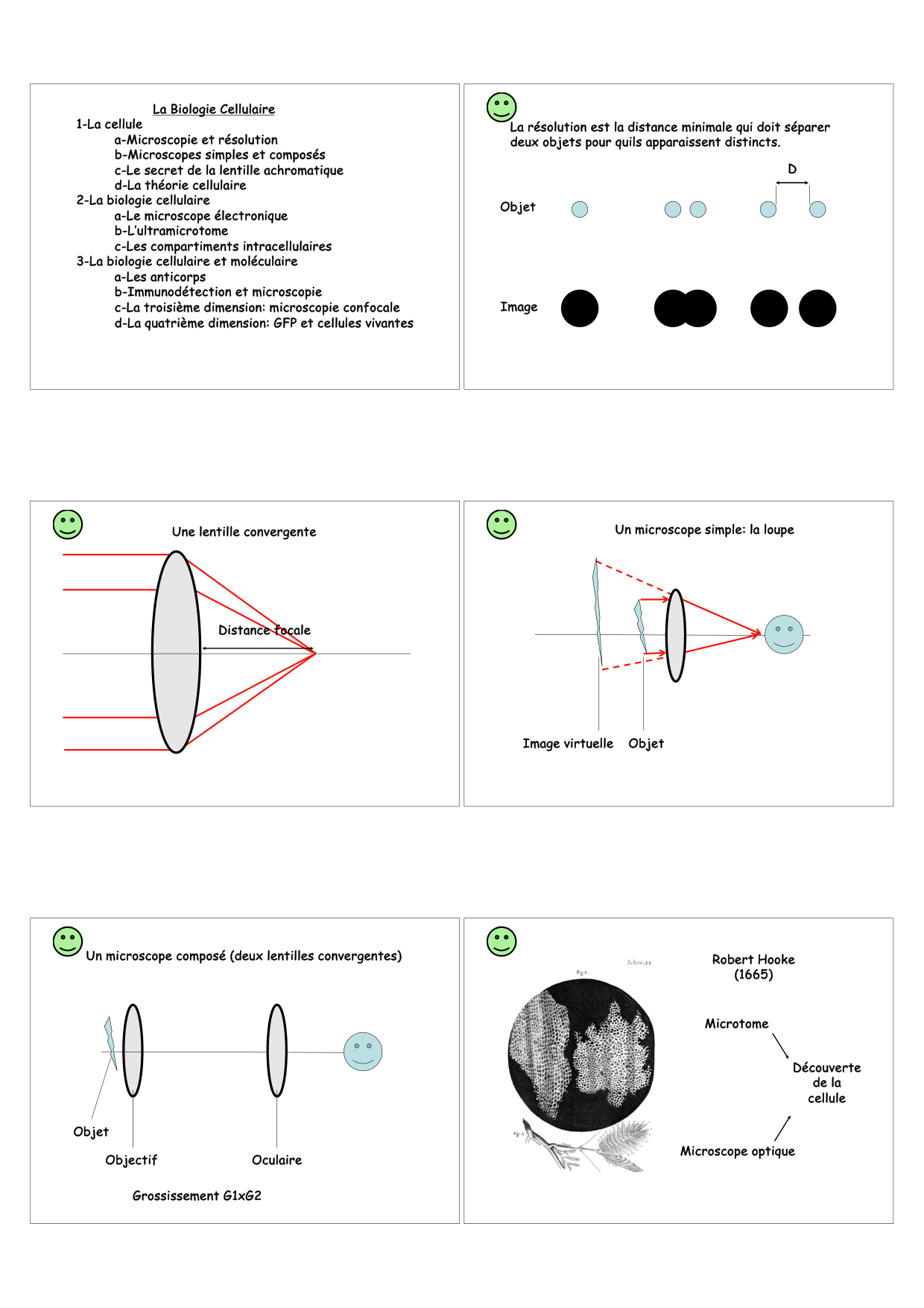 Construction cellulaire I page 1