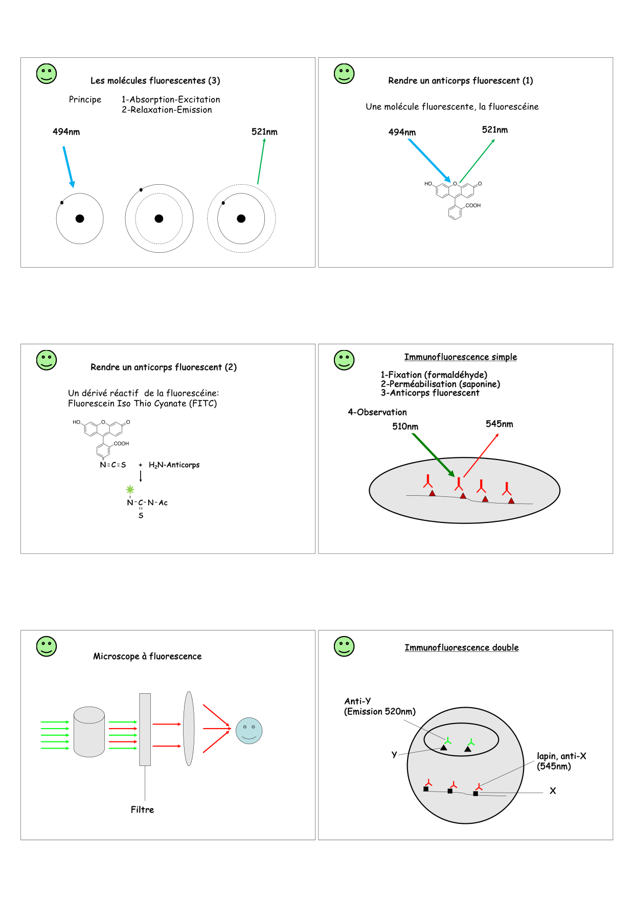 Construction cellulaire I page 4