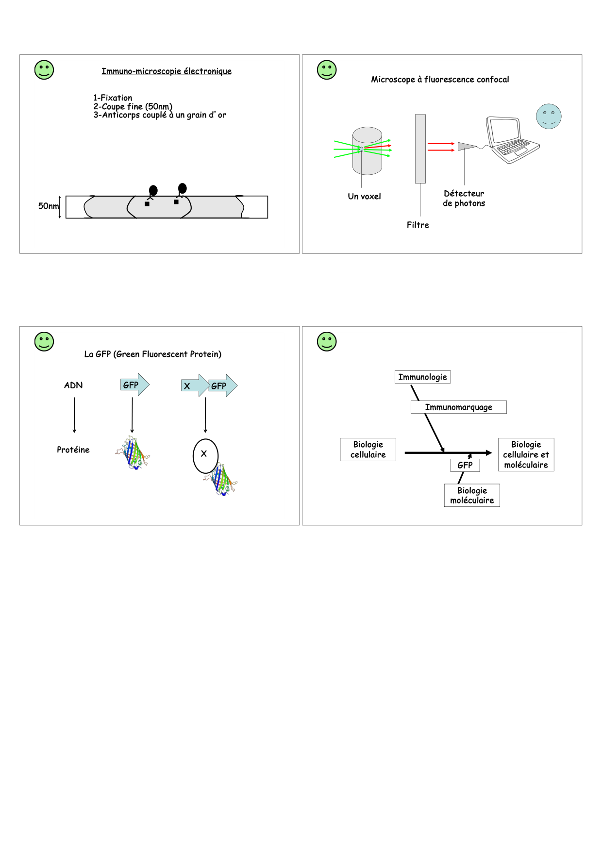 Construction cellulaire I page 5