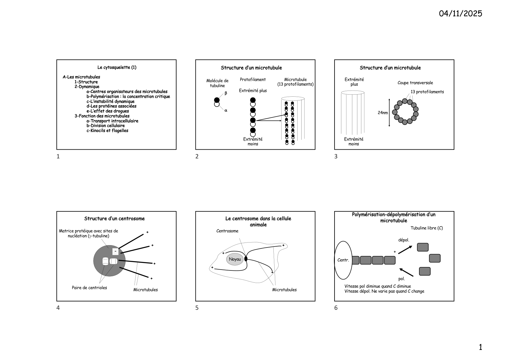 Construction cellulaire VI page 1