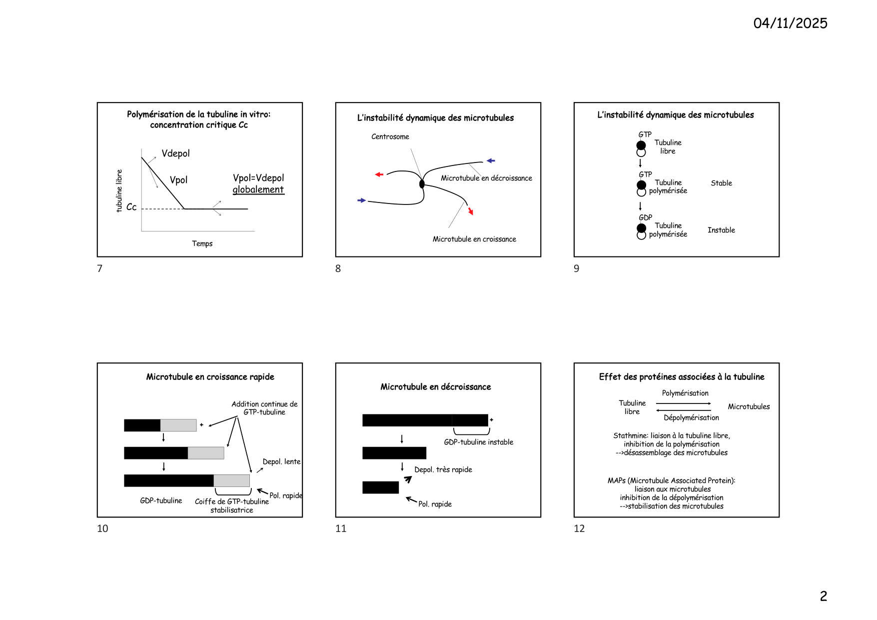 Construction cellulaire VI page 2