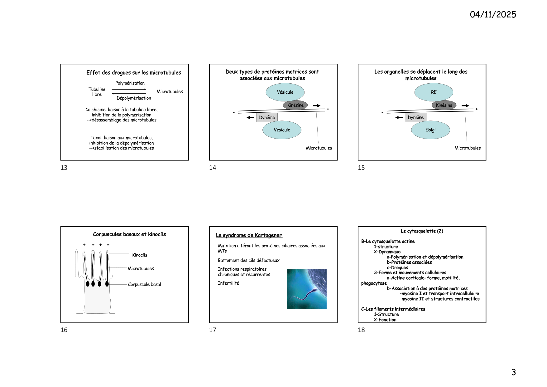 Construction cellulaire VI page 3