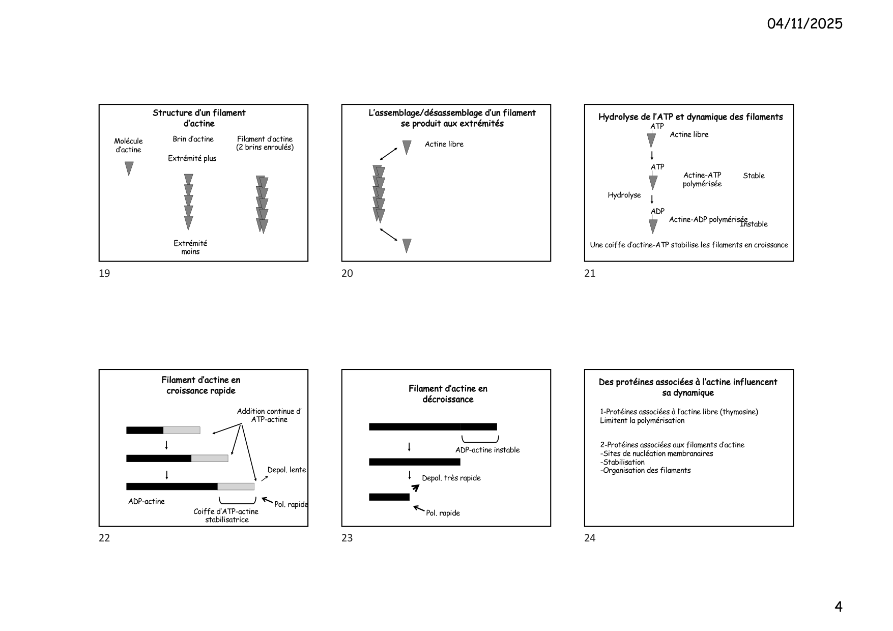 Construction cellulaire VI page 4