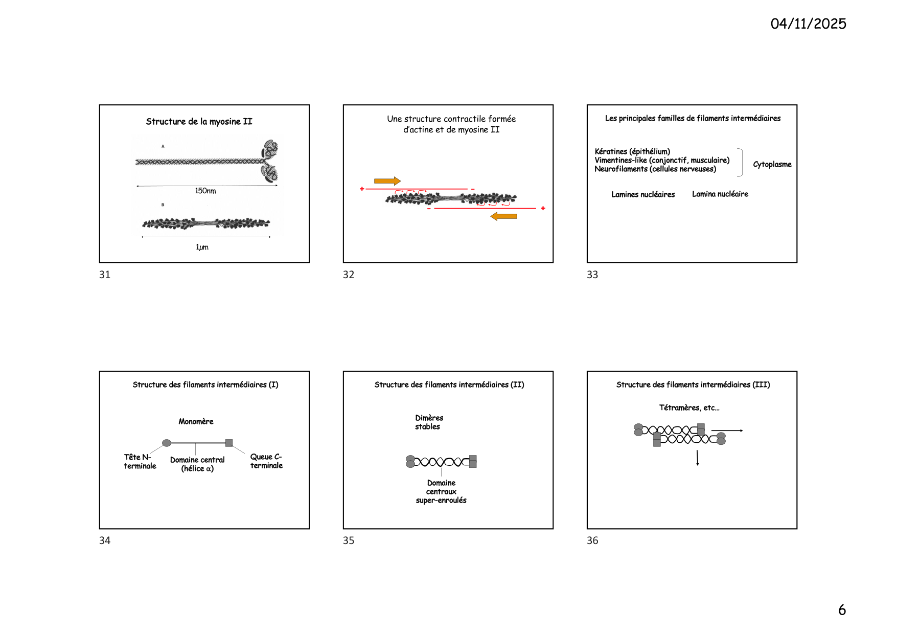 Construction cellulaire VI page 6
