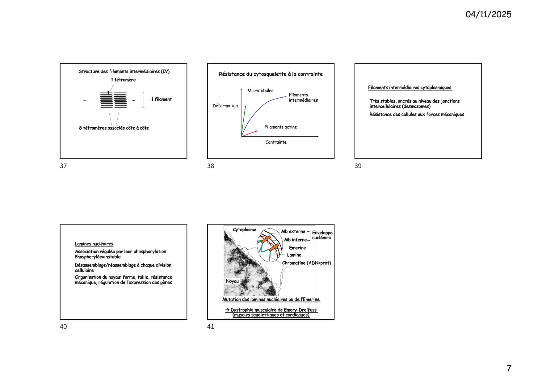 Construction cellulaire VI page 7