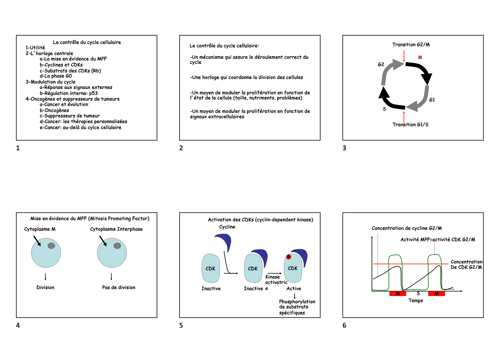 Construction cellulaire VIII page 1