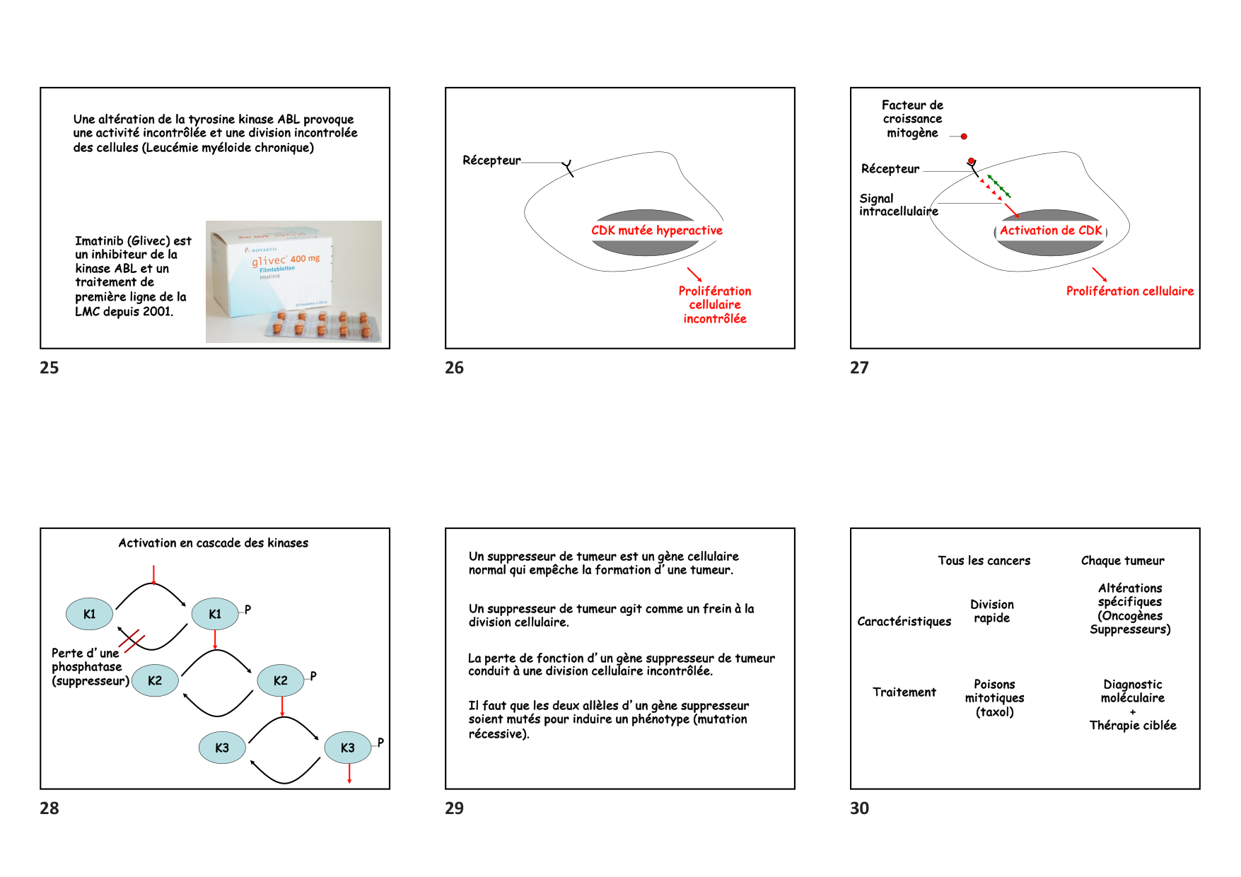 Construction cellulaire VIII page 5