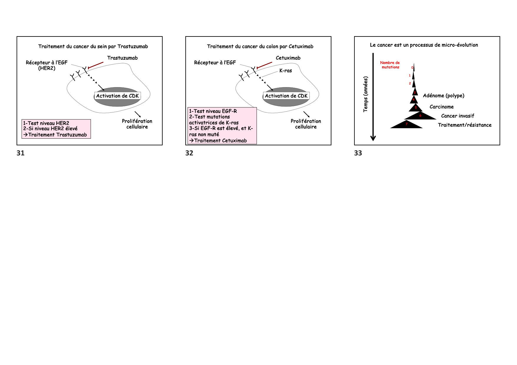 Construction cellulaire VIII page 6