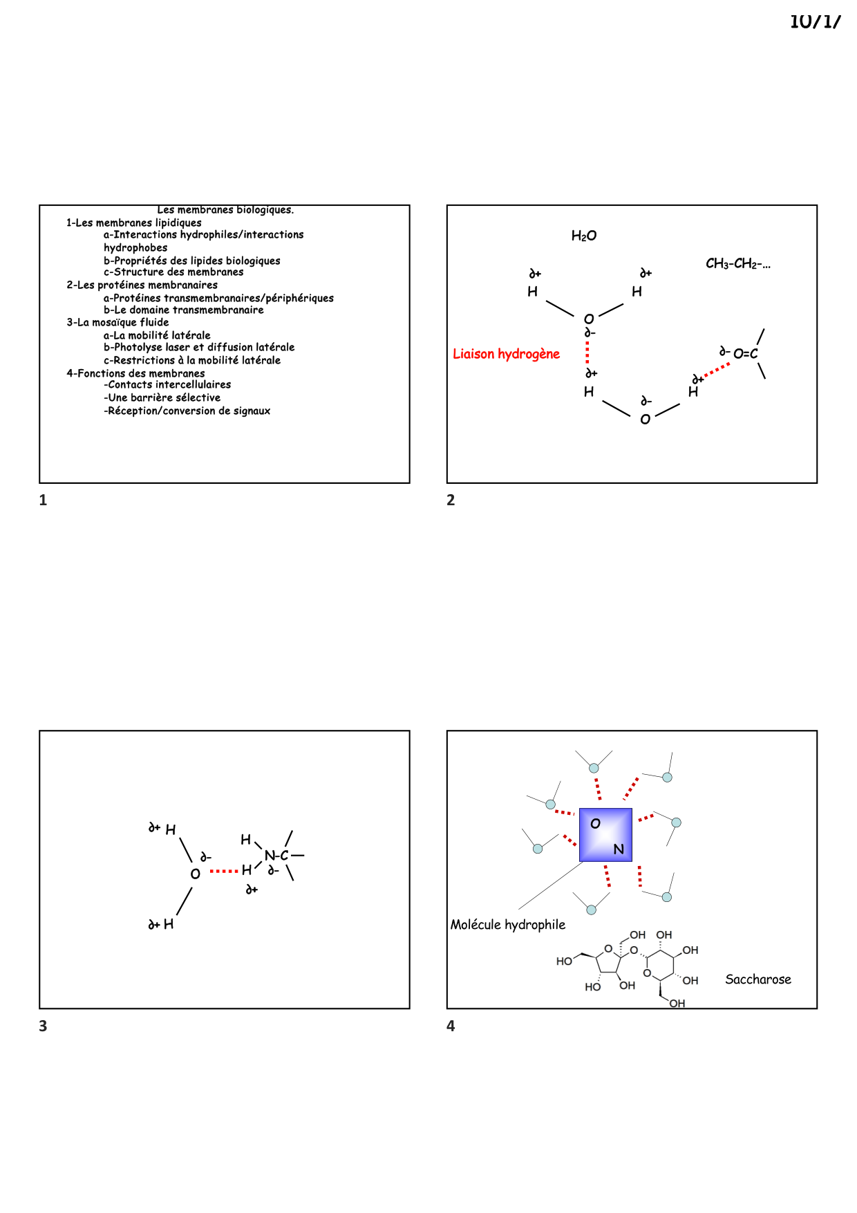 Construction cellulaire II page 1