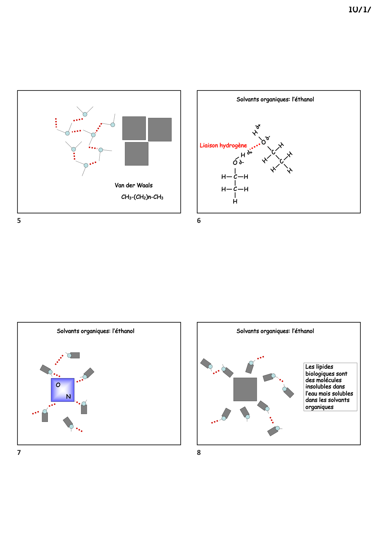 Construction cellulaire II page 2