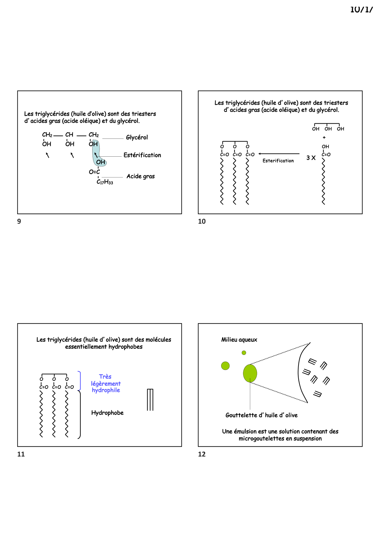 Construction cellulaire II page 3
