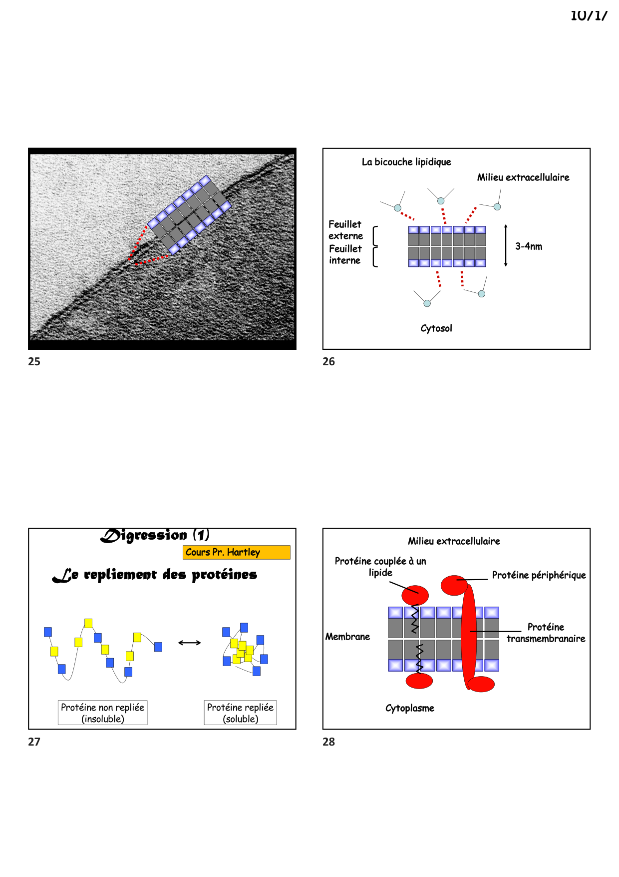 Construction cellulaire II page 7