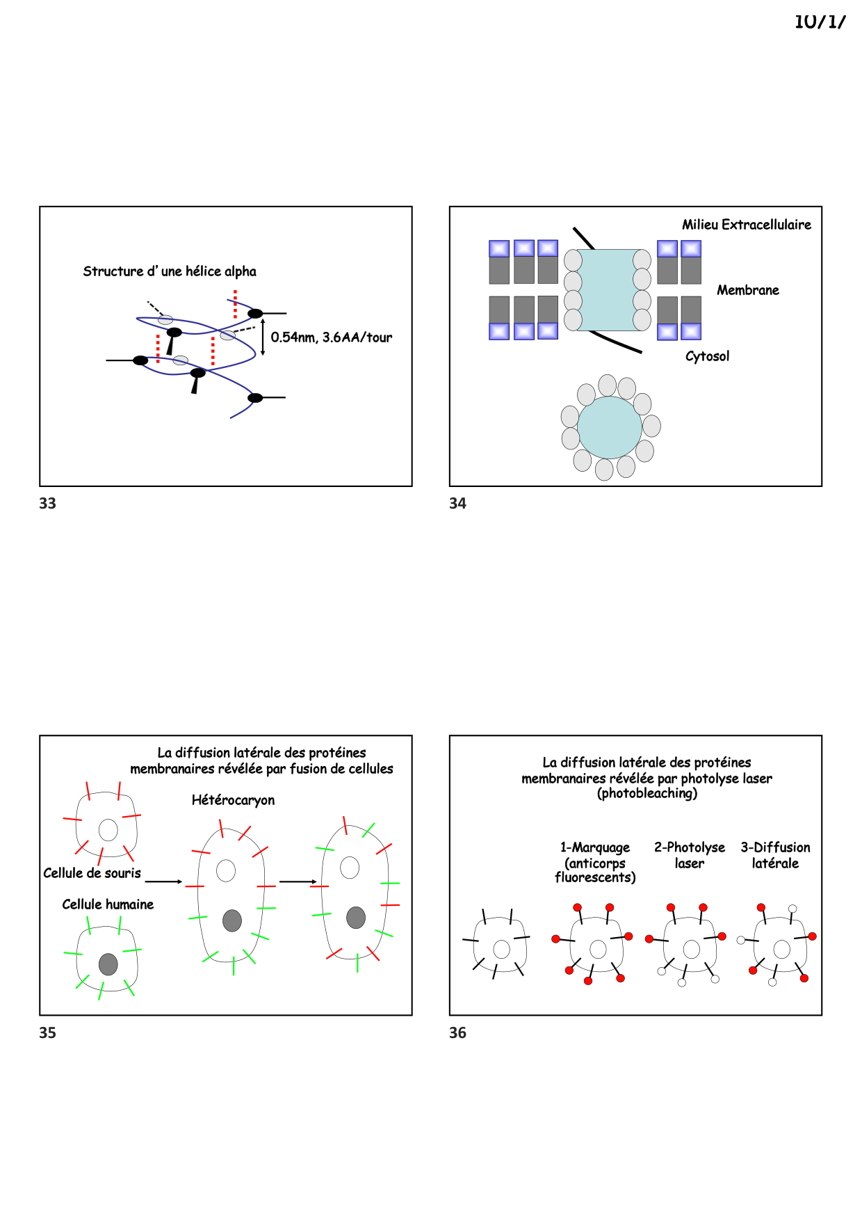 Construction cellulaire II page 9