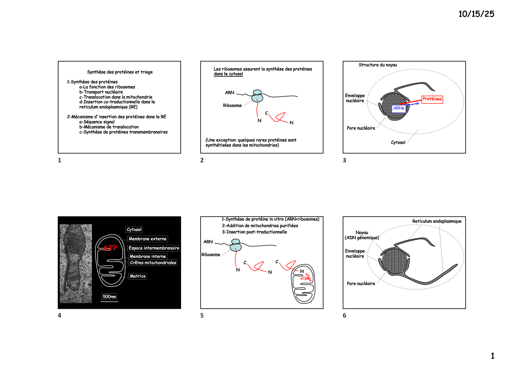 Construction cellulaire III page 1