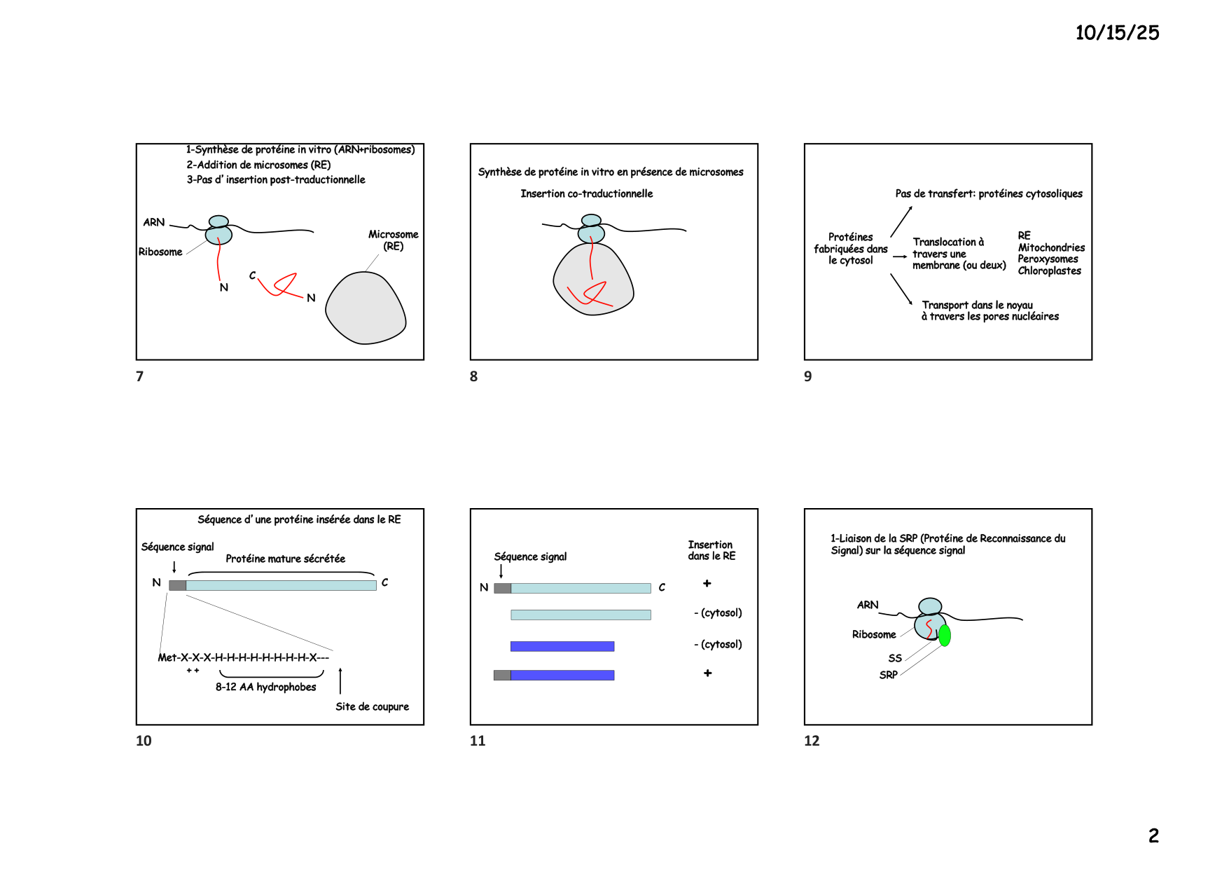 Construction cellulaire III page 2