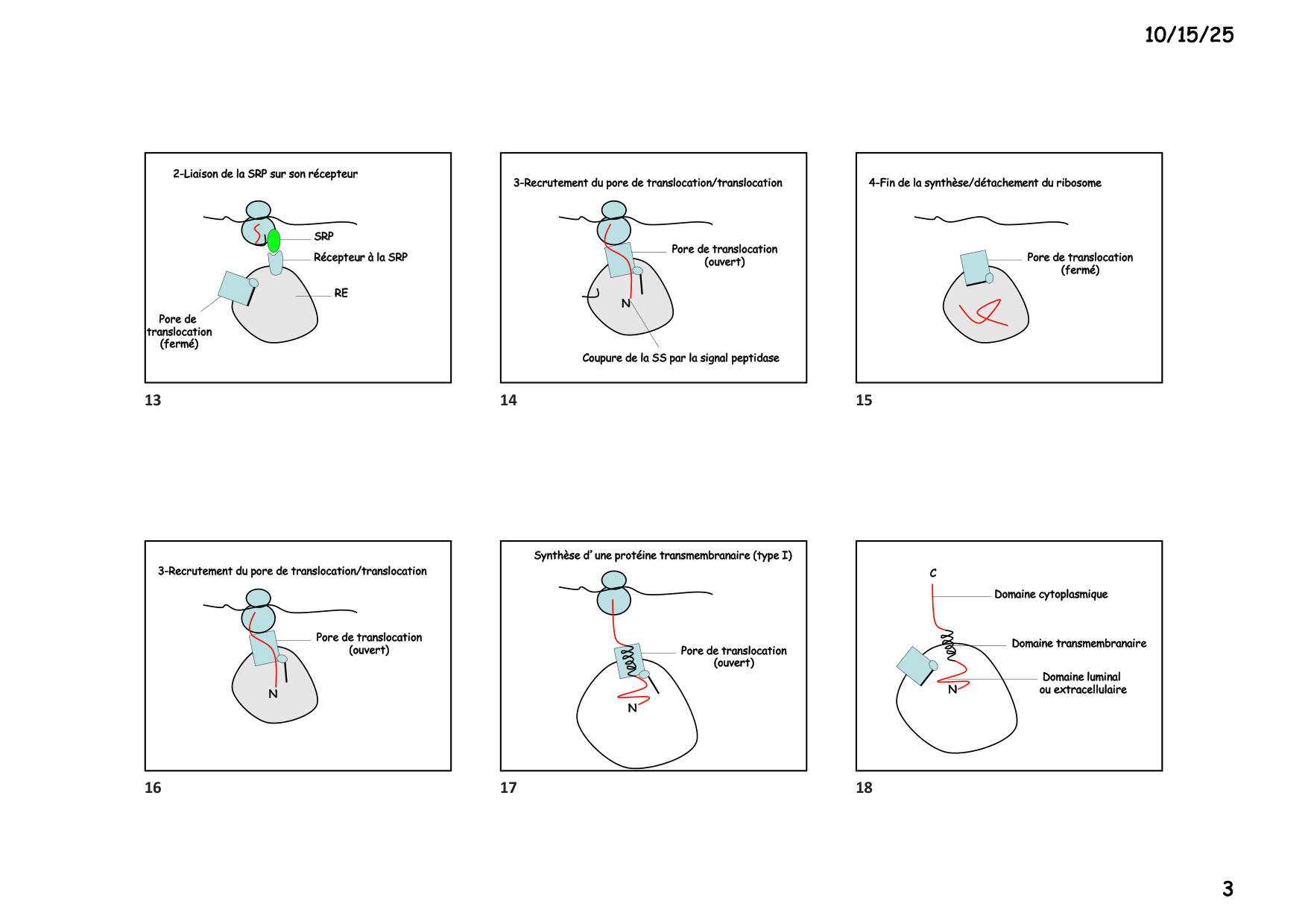 Construction cellulaire III page 3