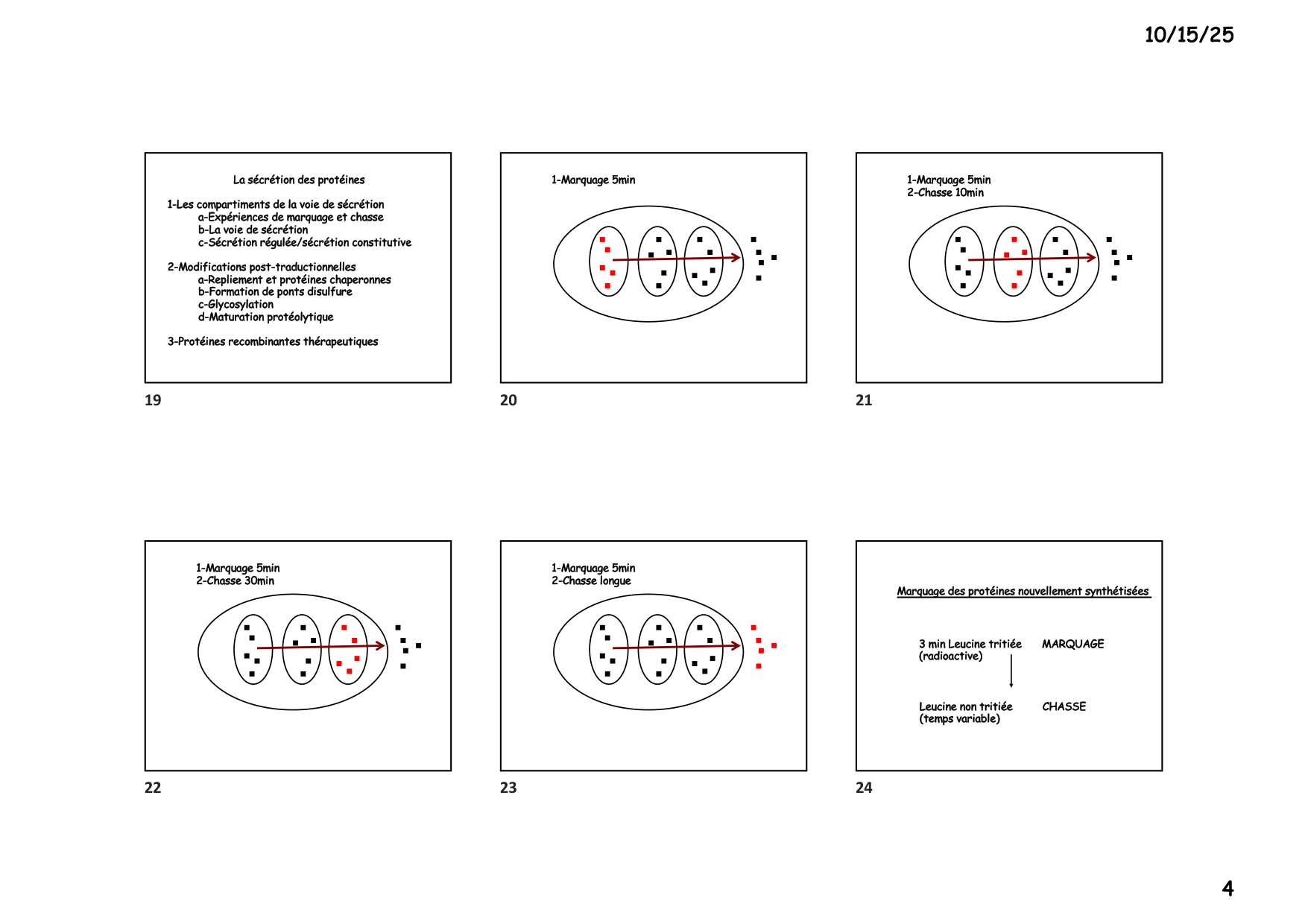 Construction cellulaire III page 4