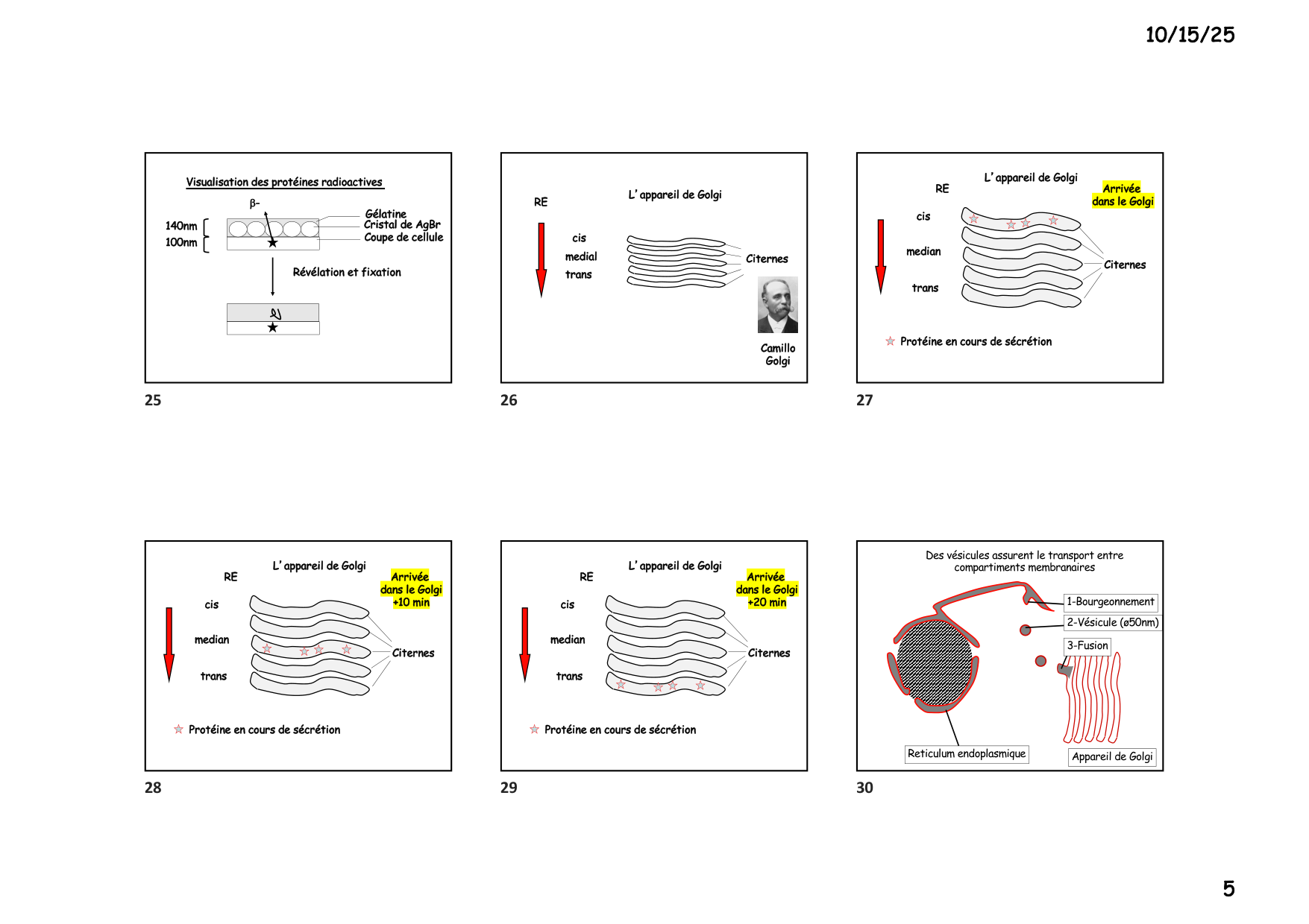 Construction cellulaire III page 5