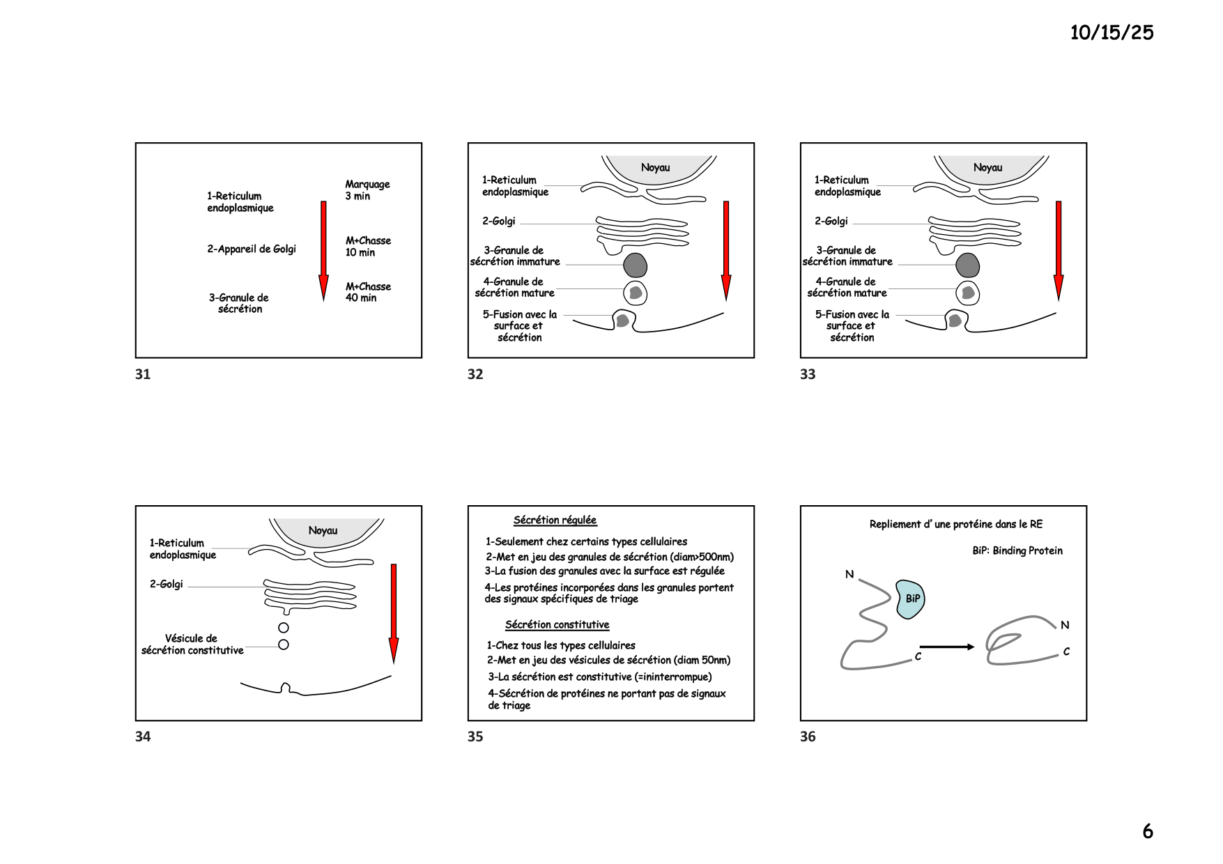 Construction cellulaire III page 6