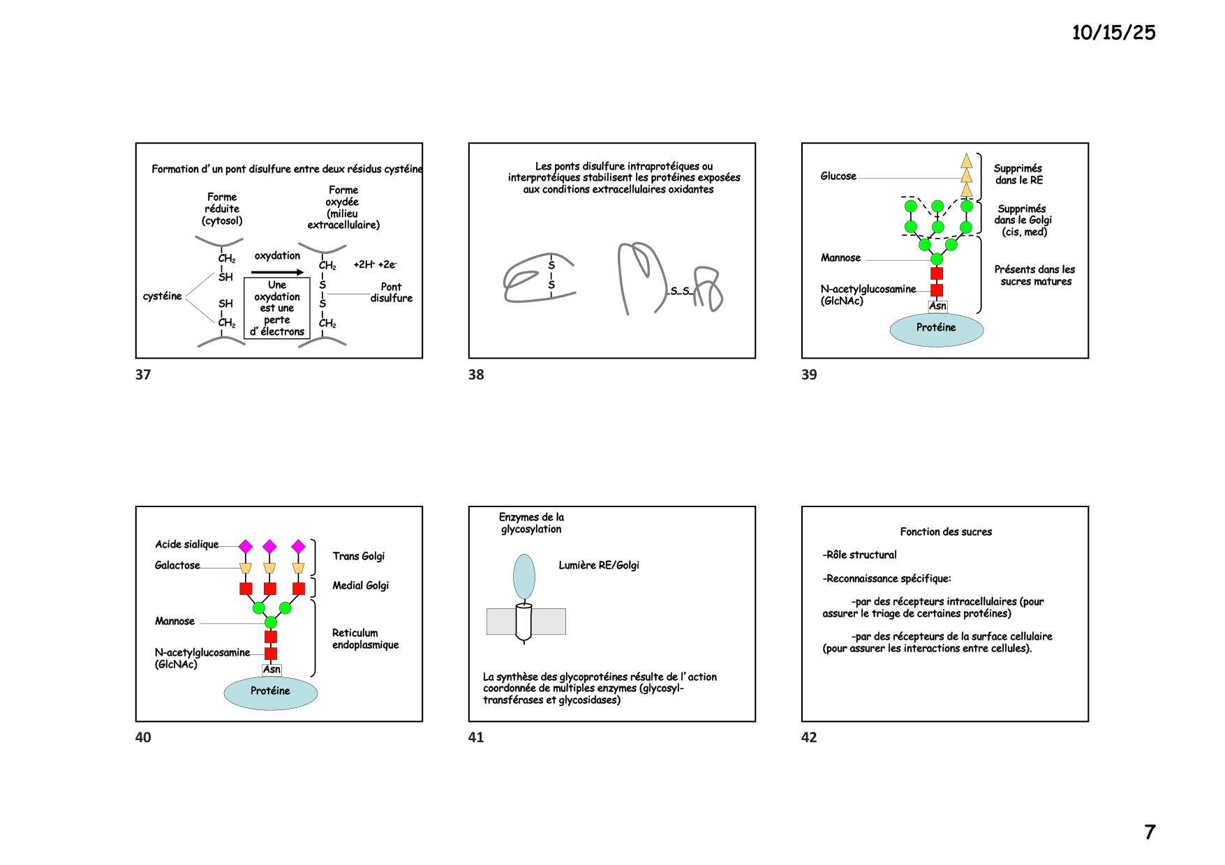 Construction cellulaire III page 7