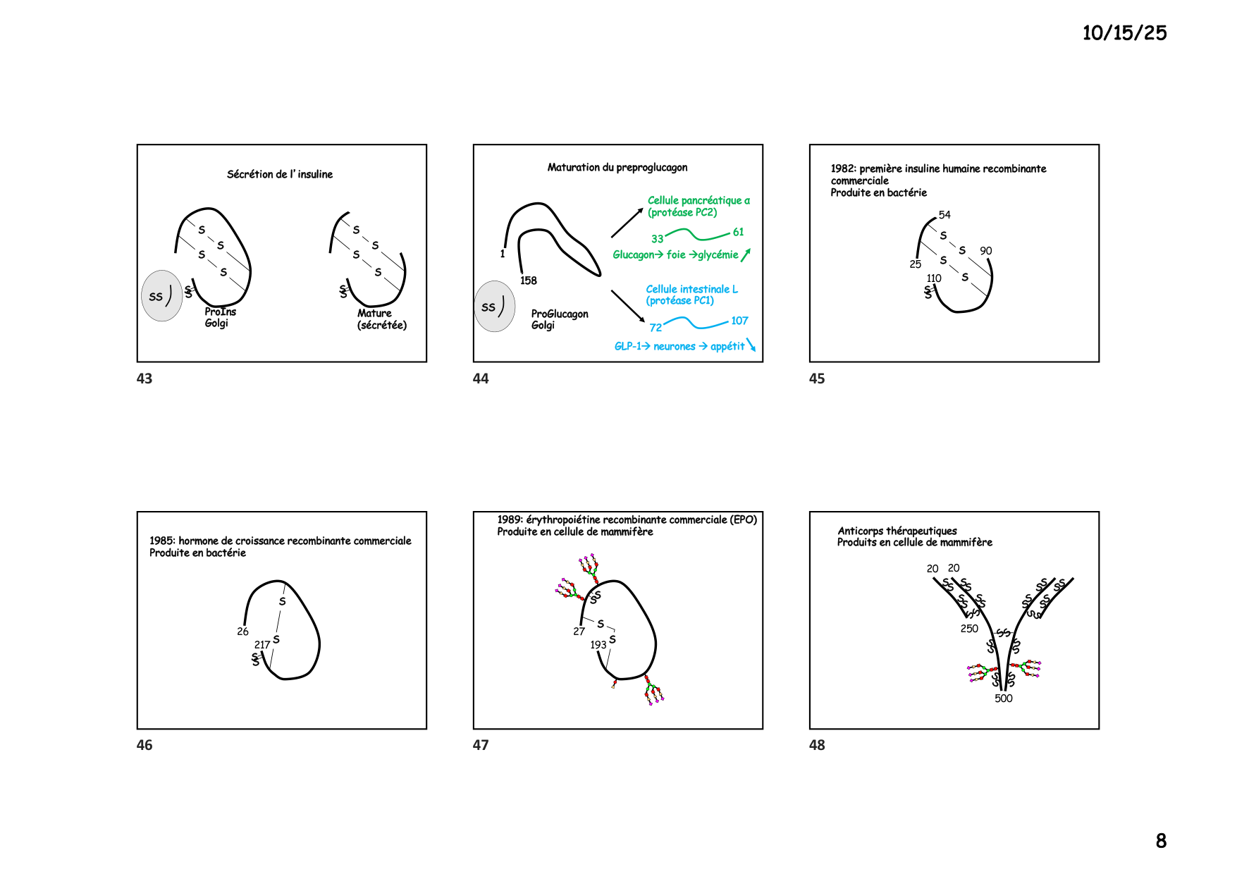 Construction cellulaire III page 8