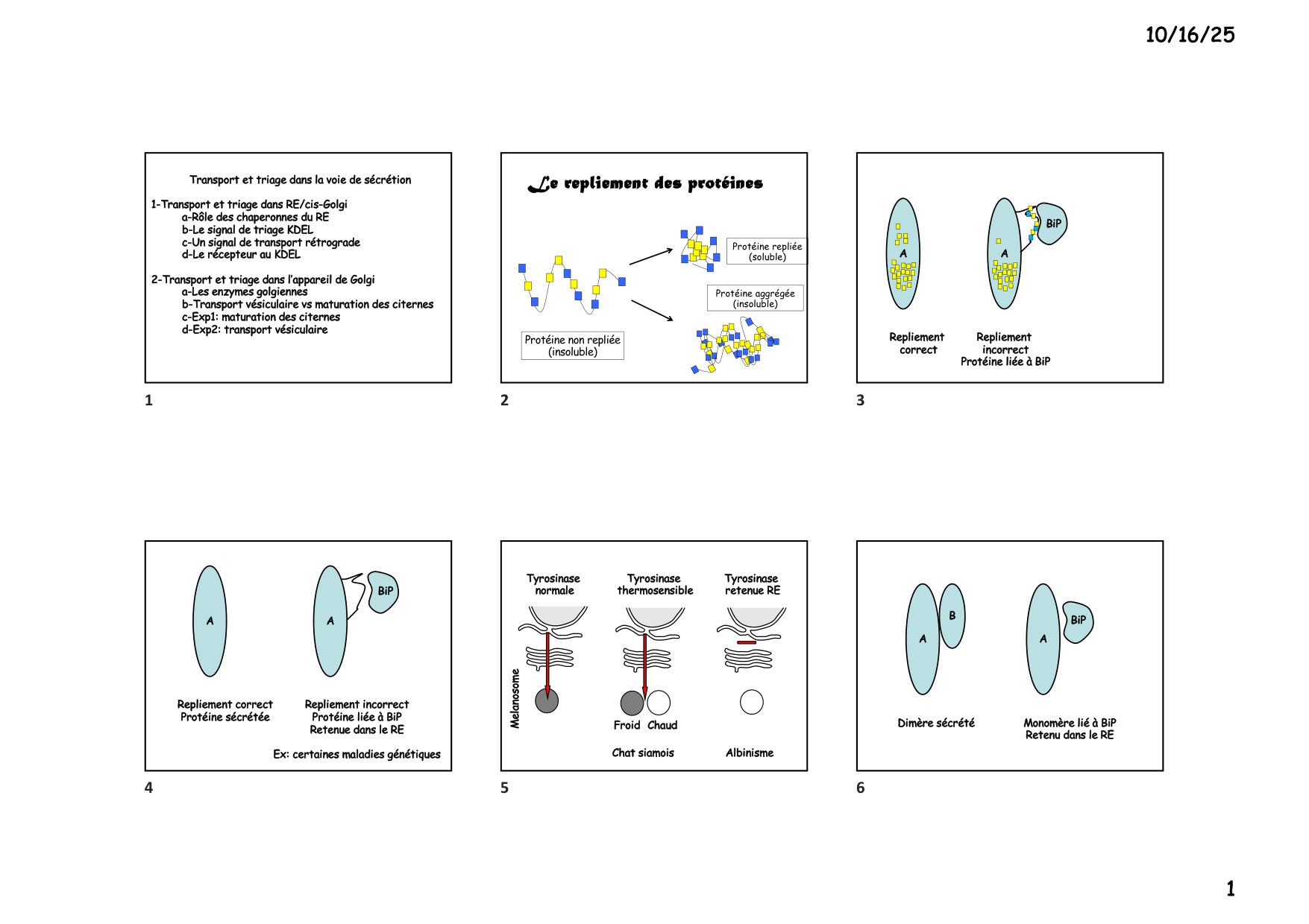 Construction cellulaire IV page 1