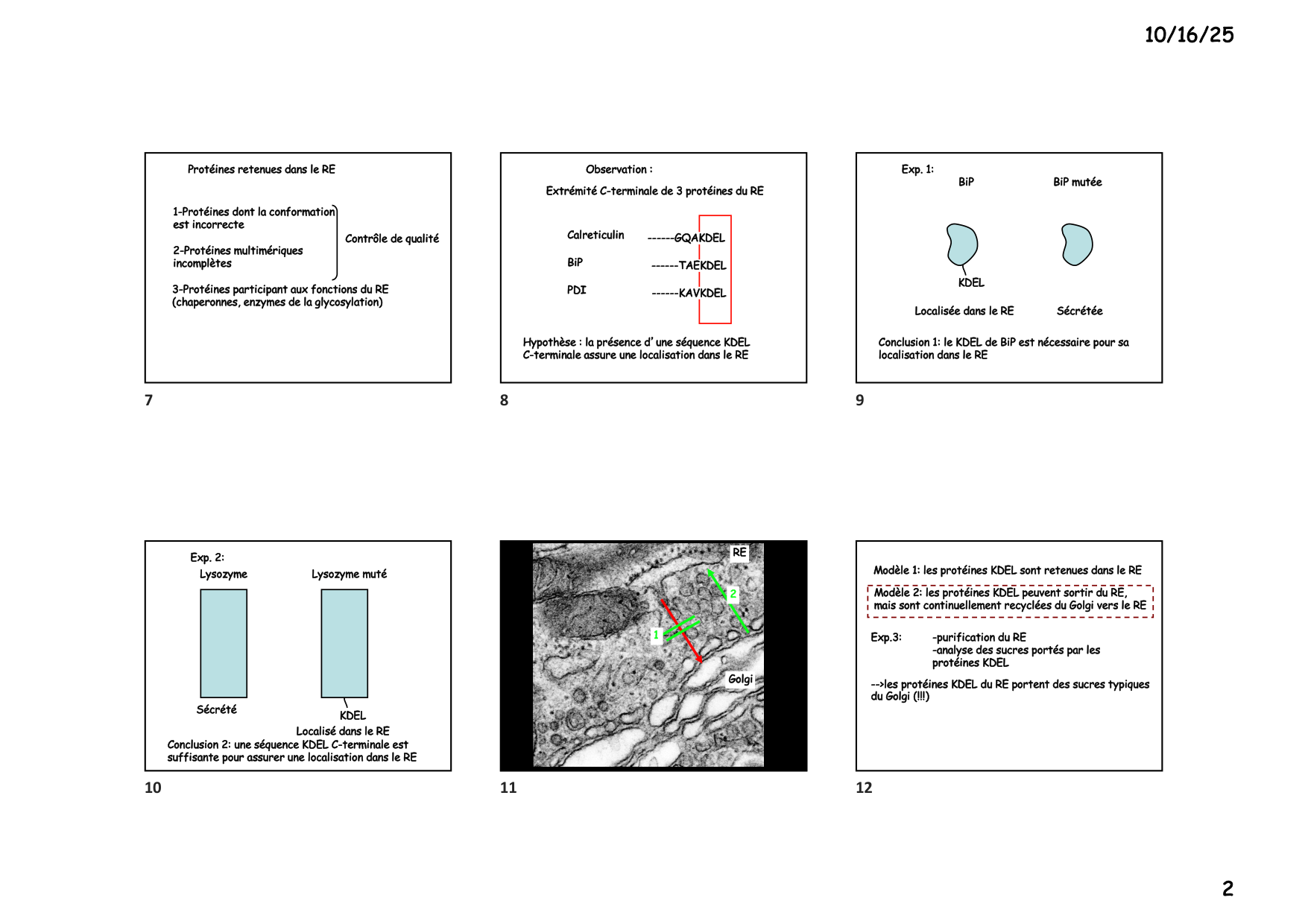 Construction cellulaire IV page 2