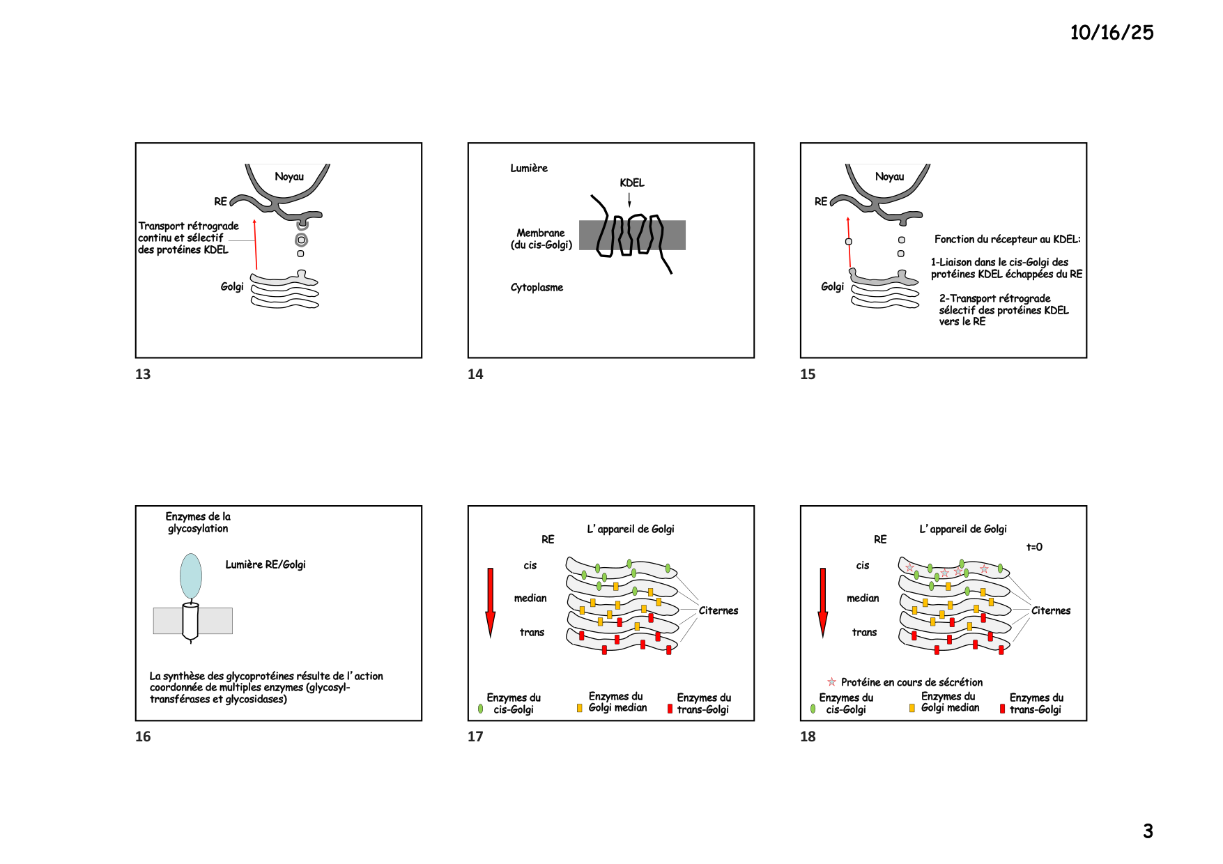 Construction cellulaire IV page 3