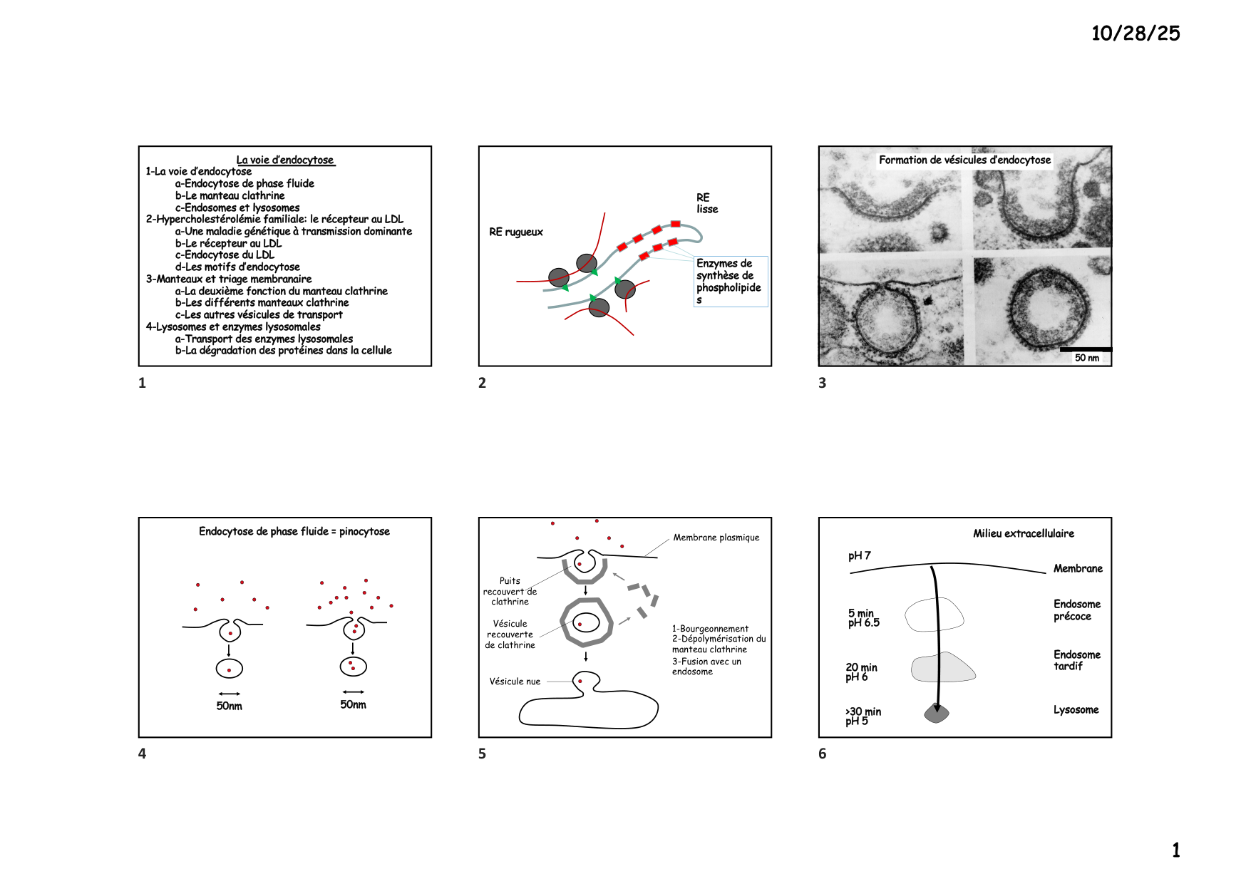 Construction cellulaire V page 1