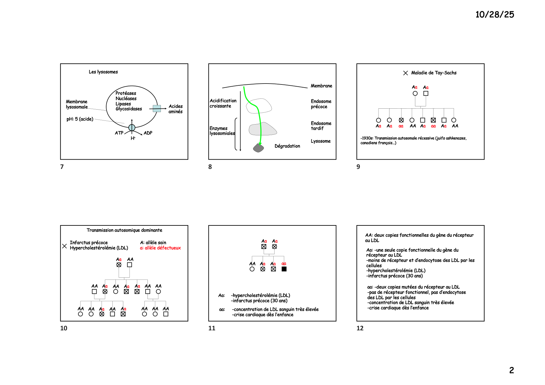Construction cellulaire V page 2