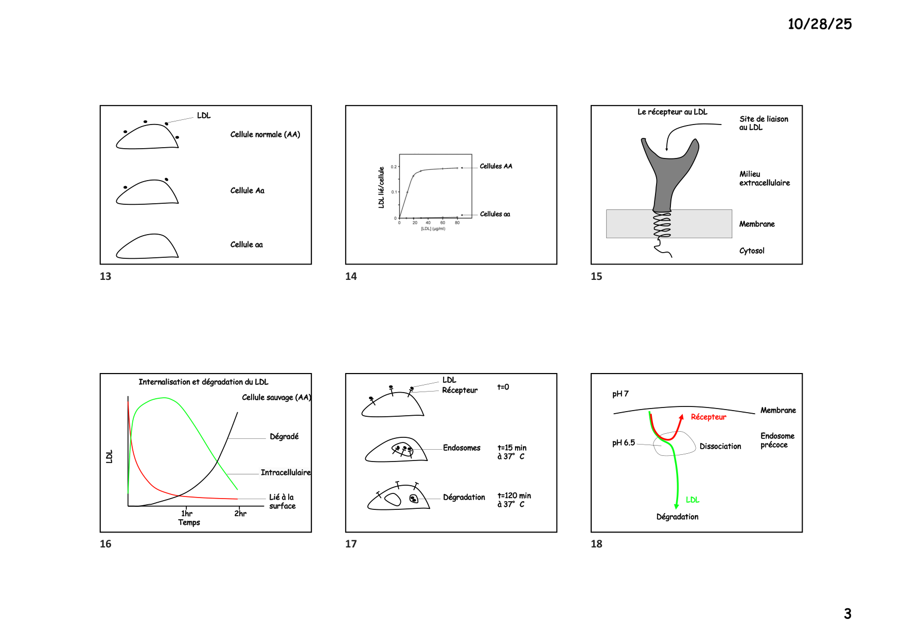 Construction cellulaire V page 3