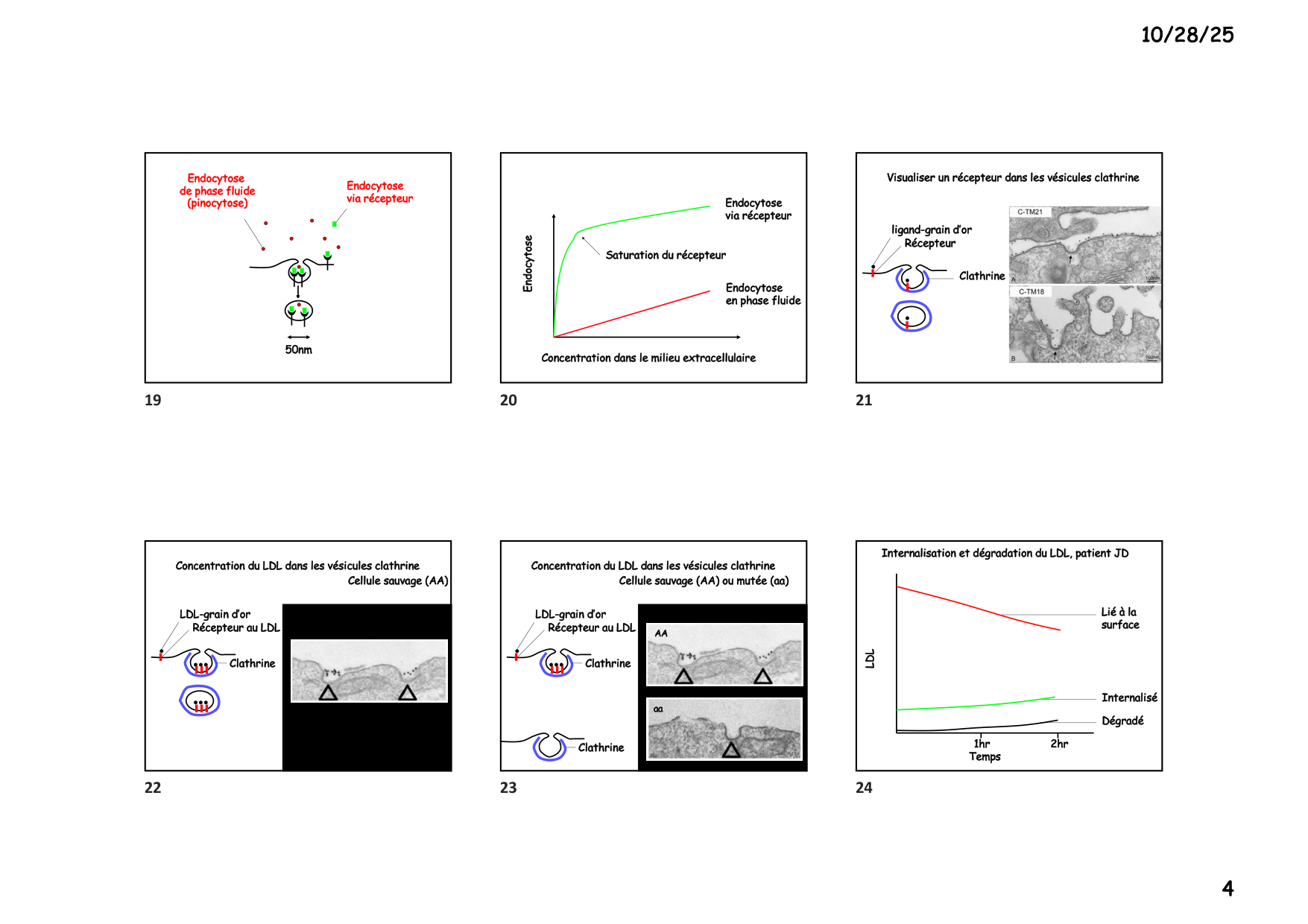 Construction cellulaire V page 4