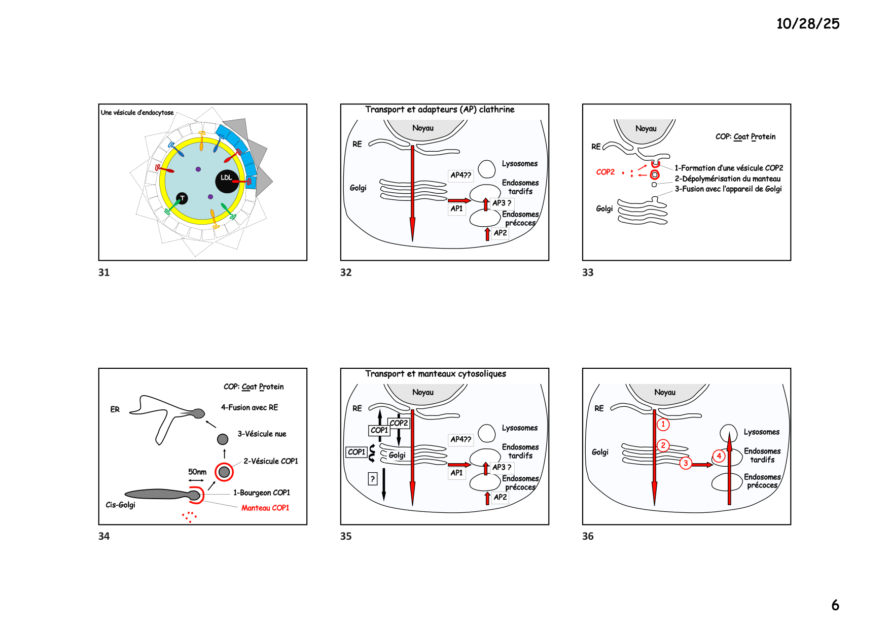 Construction cellulaire V page 6