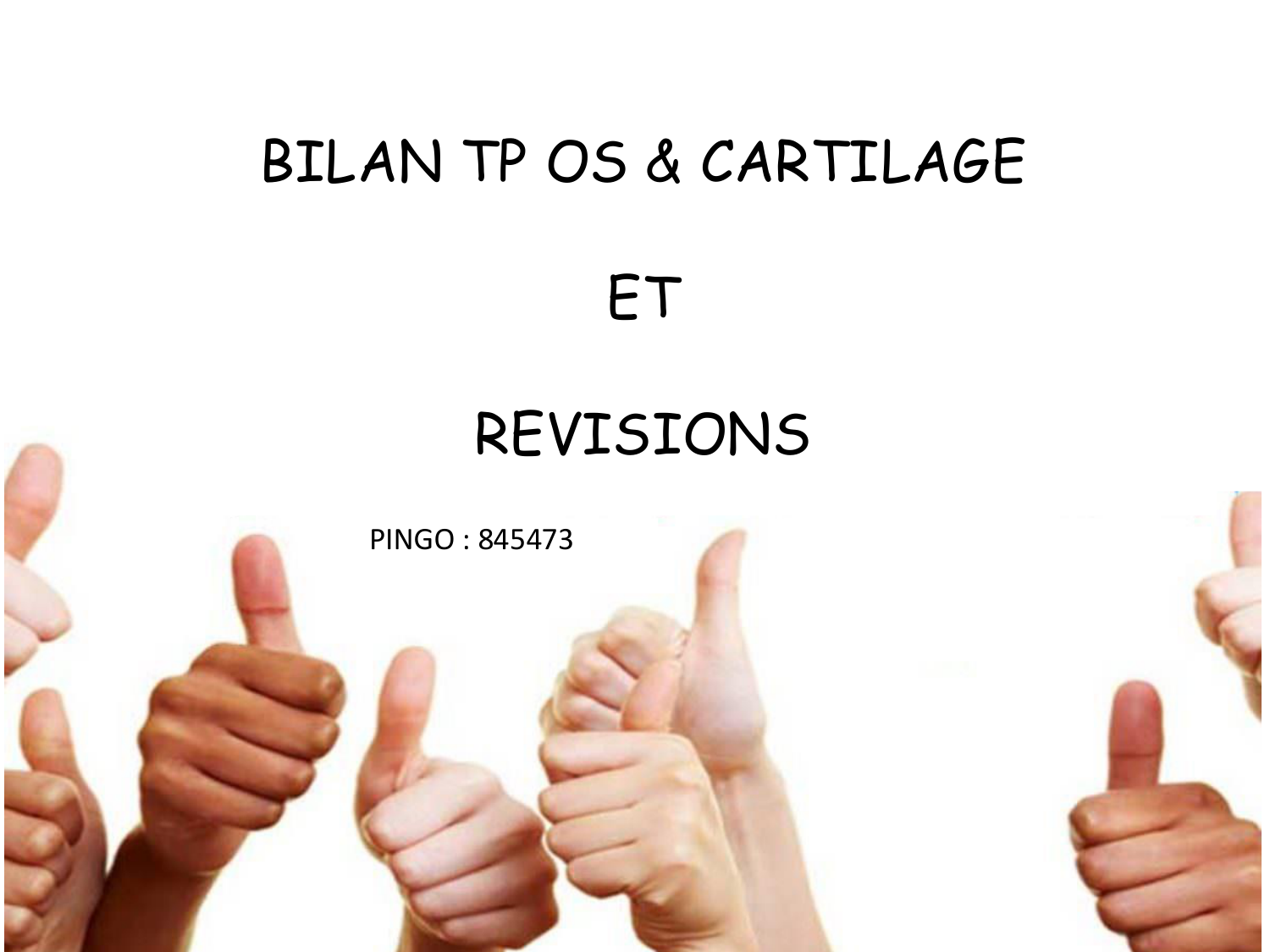 Correction TP — os et cartilage page 1