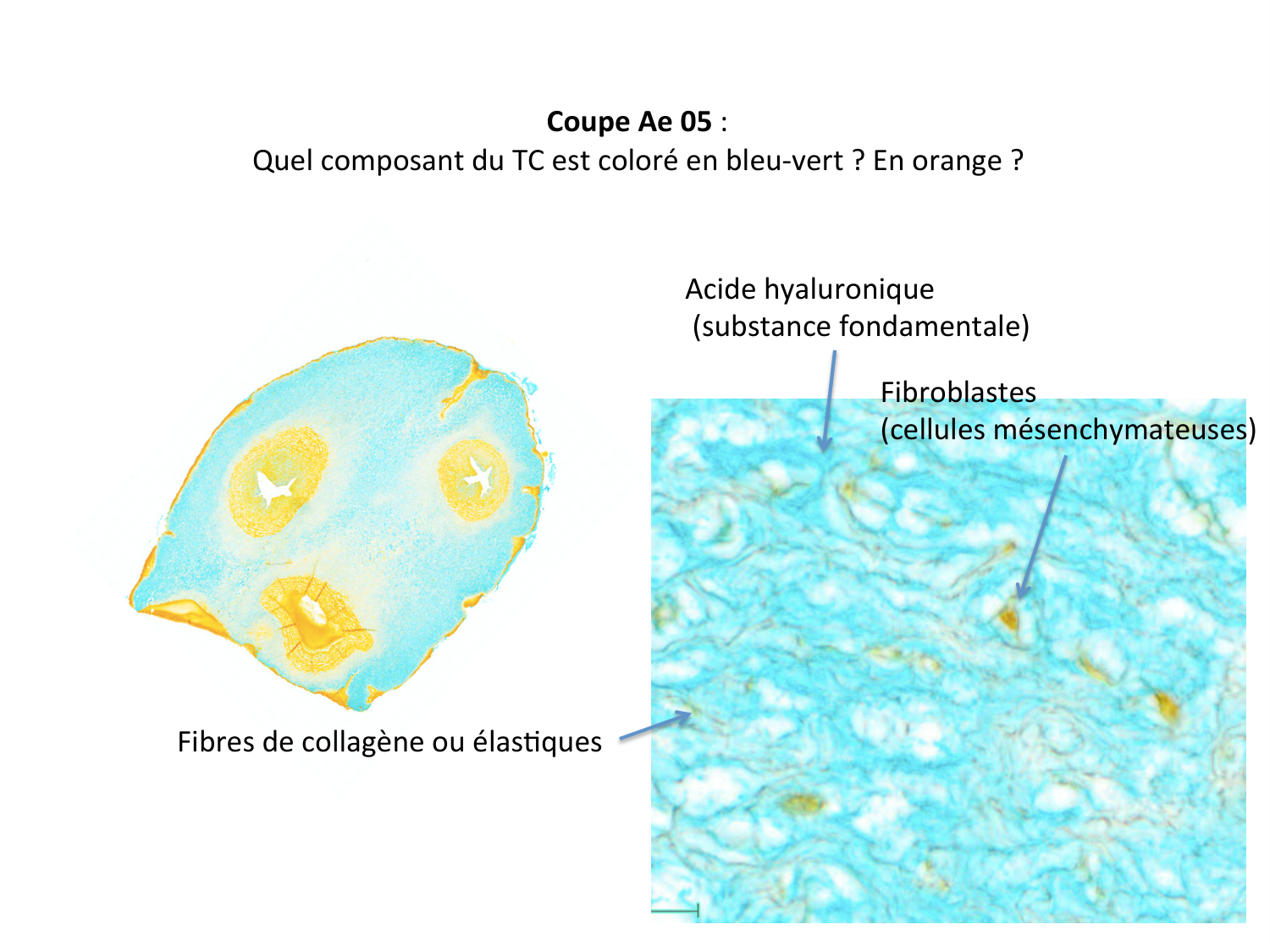 Correction quiz TC page 1