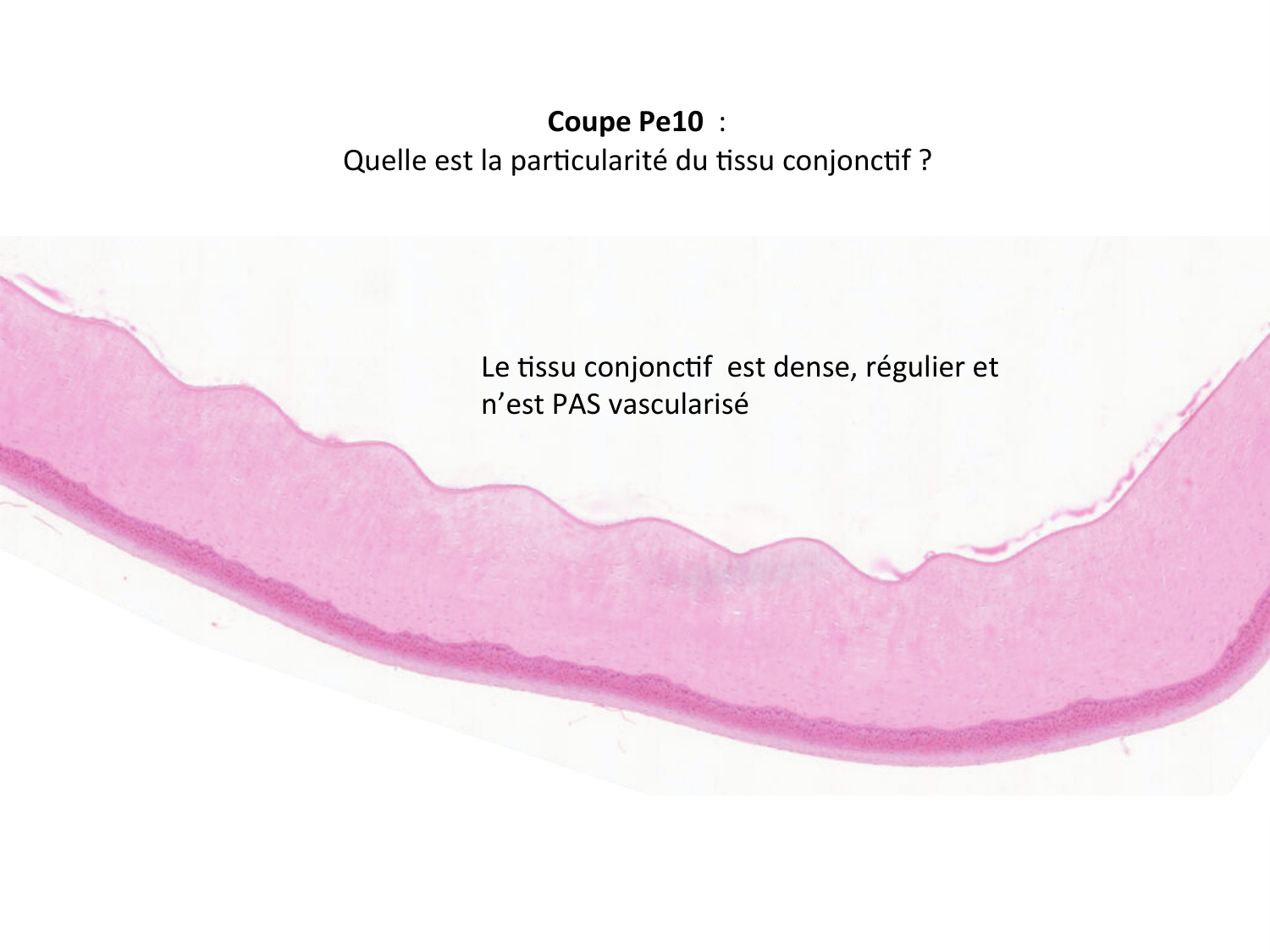 Correction quiz TC page 2