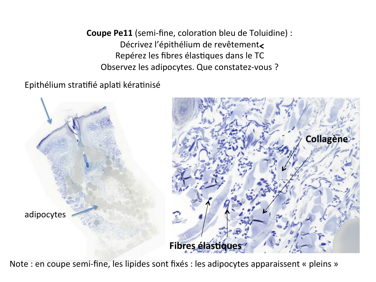 Correction quiz TC page 3