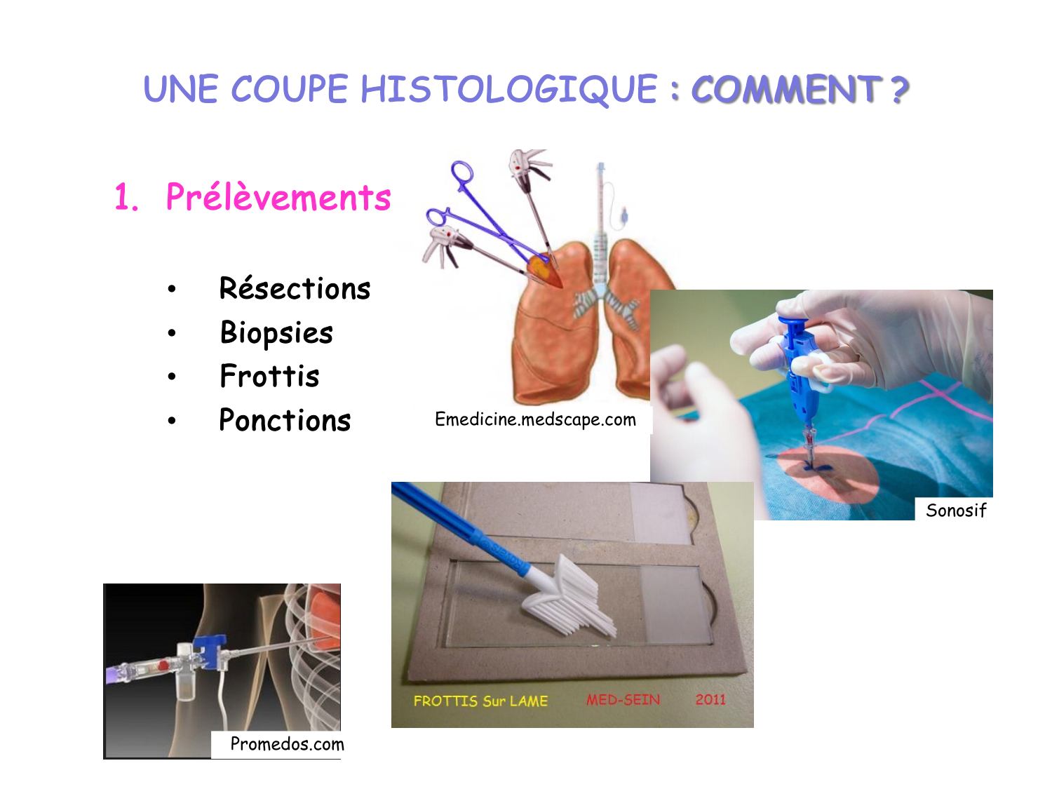 Introduction aux TP d’histologie page 7