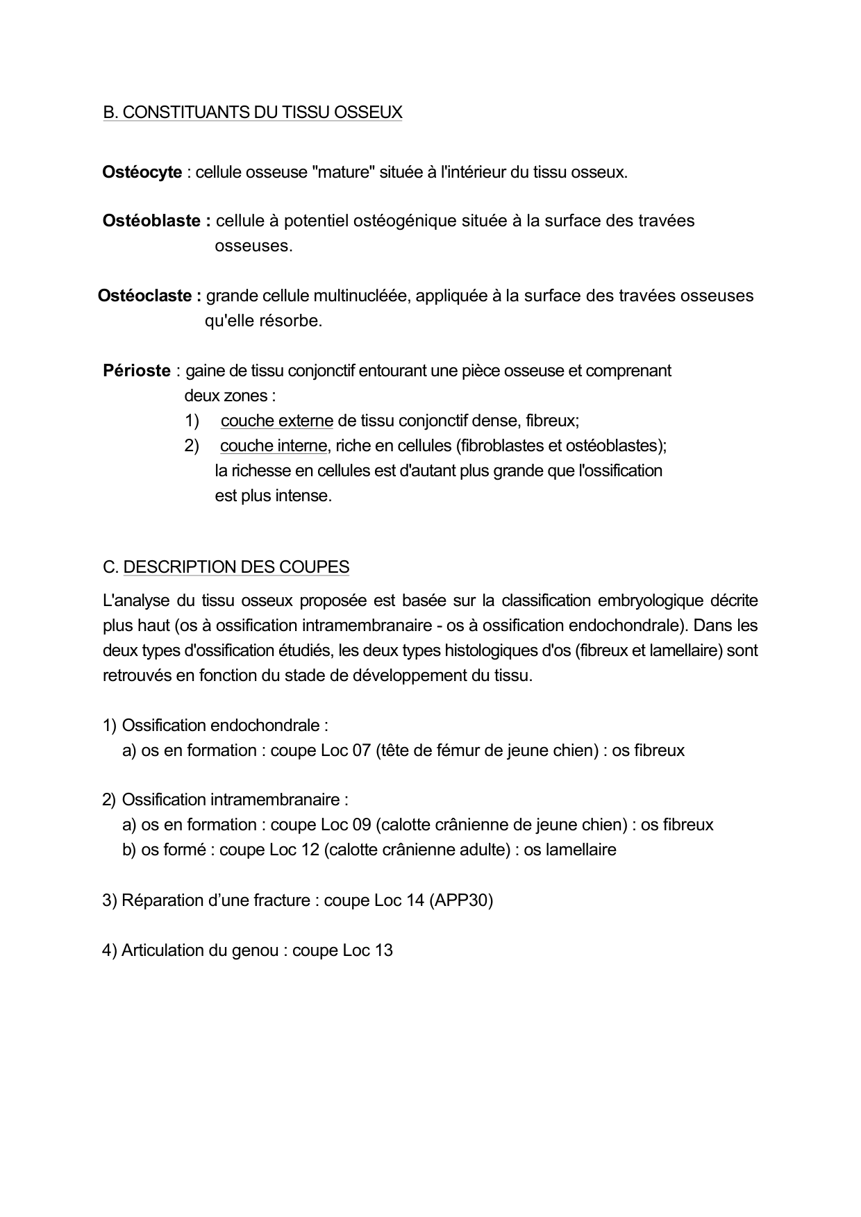 Guide TP — os et cartilage page 3