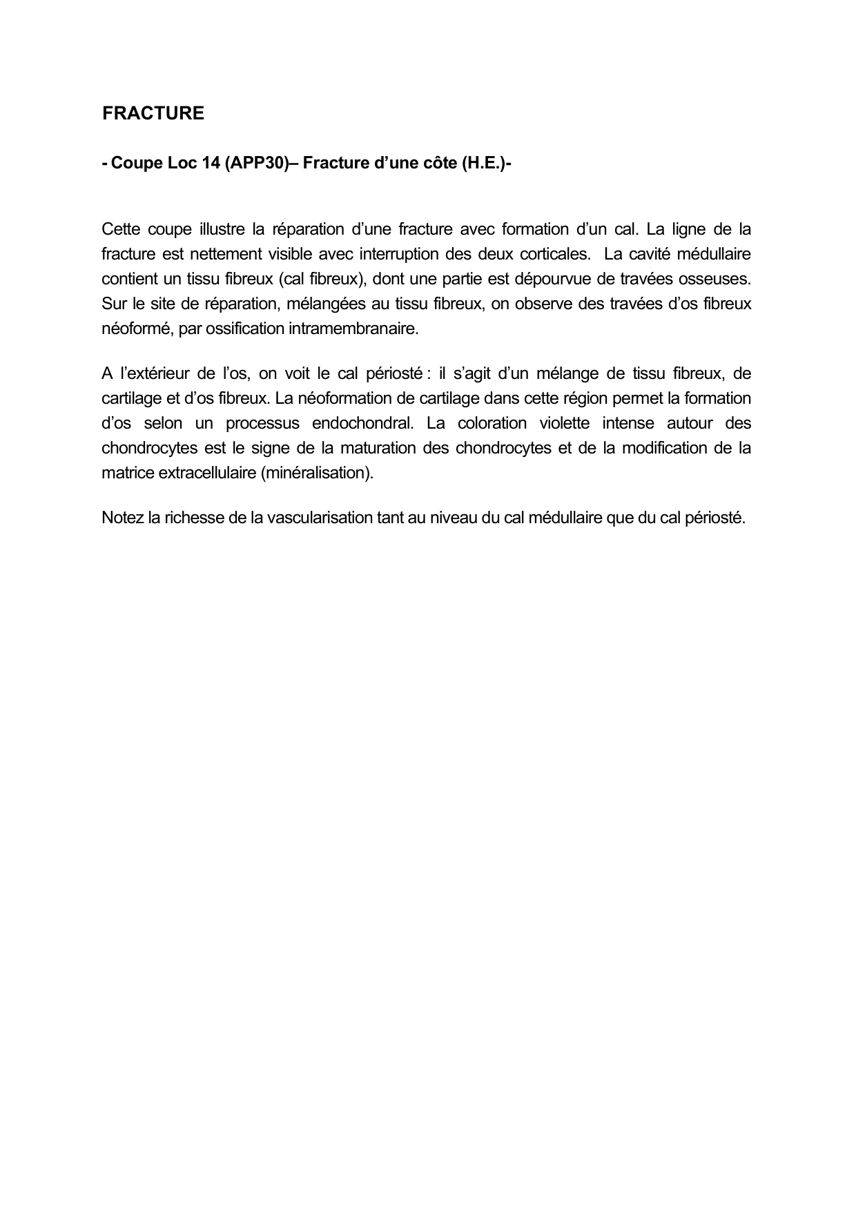 Guide TP — os et cartilage page 7