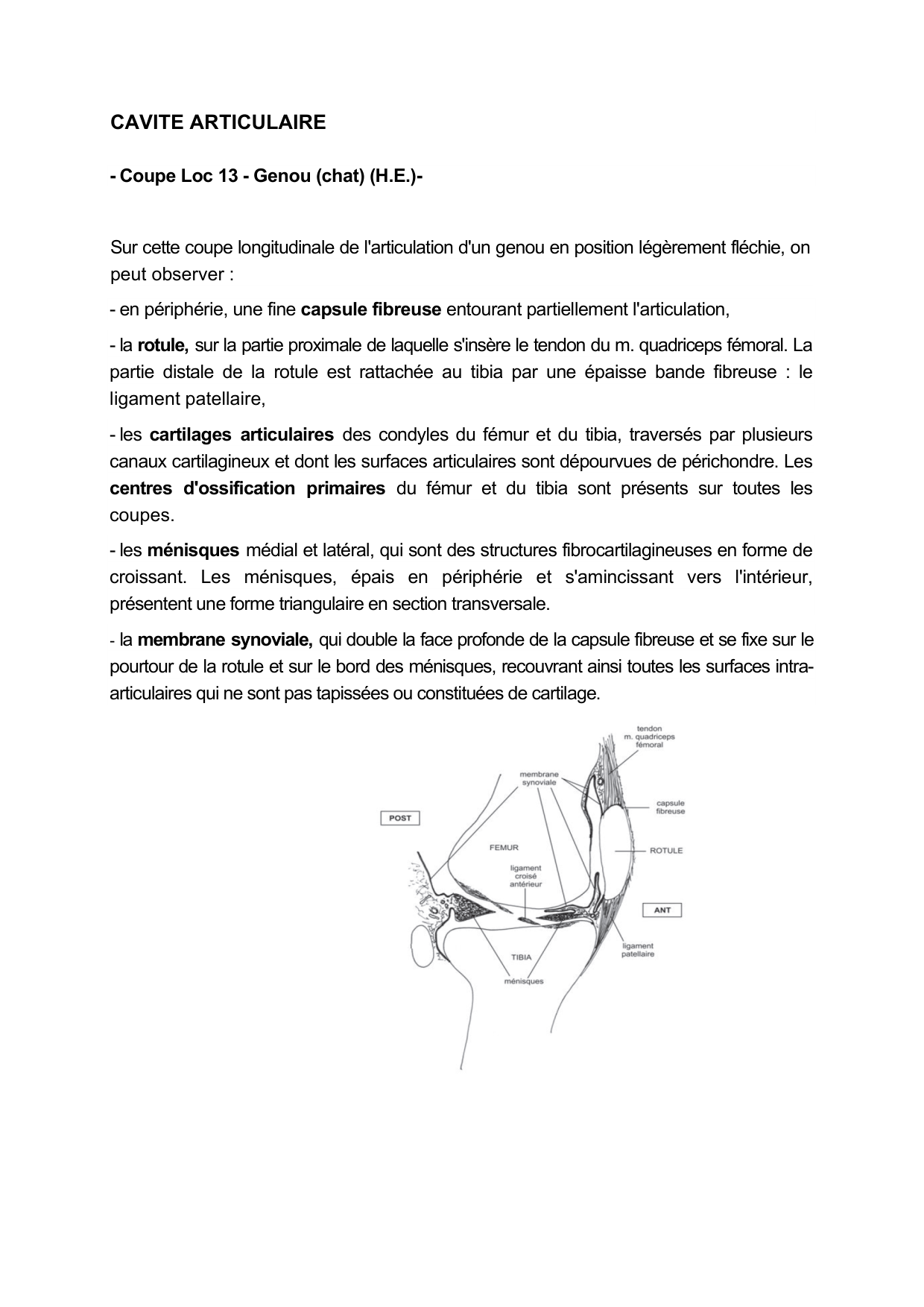 Guide TP — os et cartilage page 8