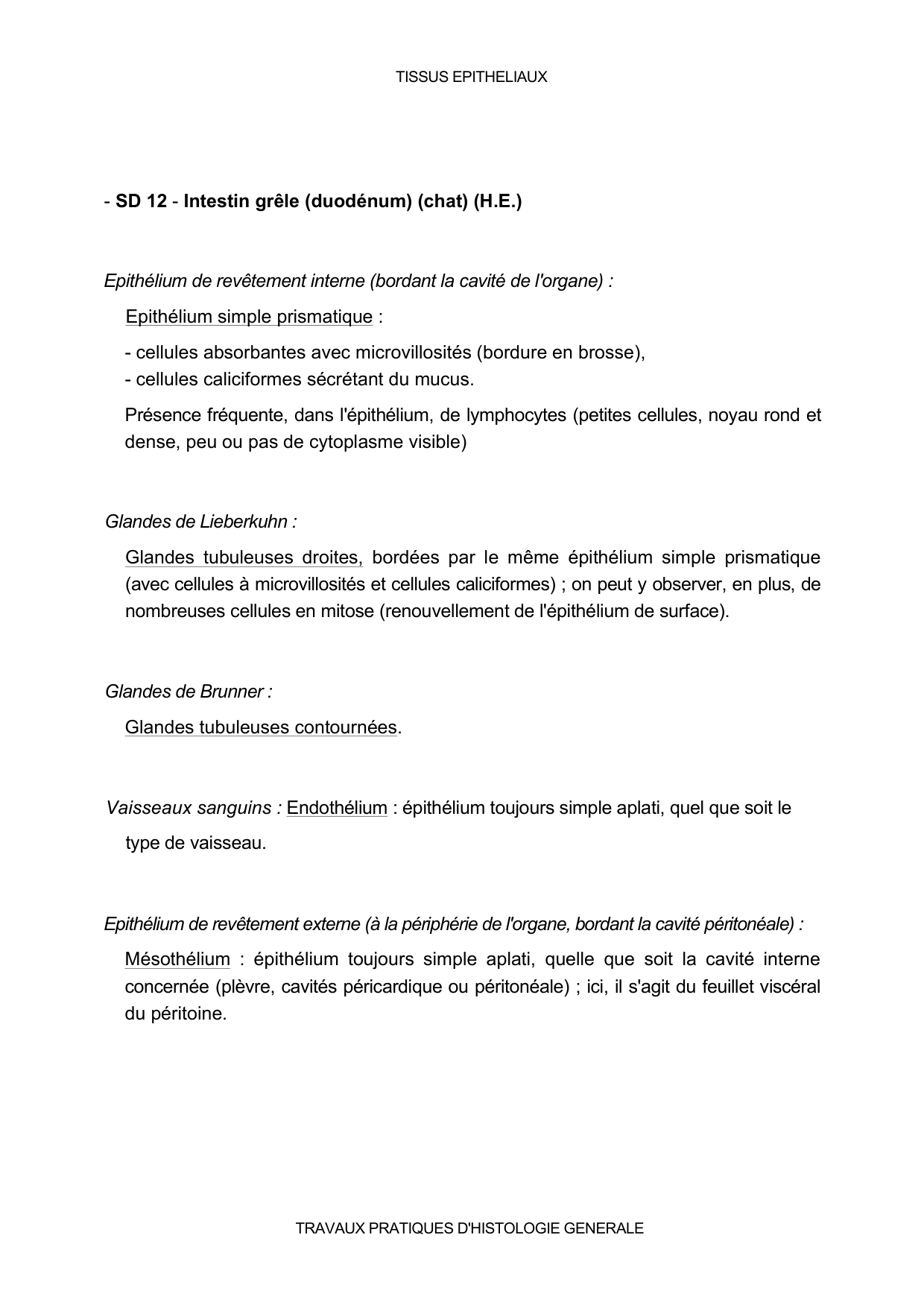 Guide TP — épithélium page 5