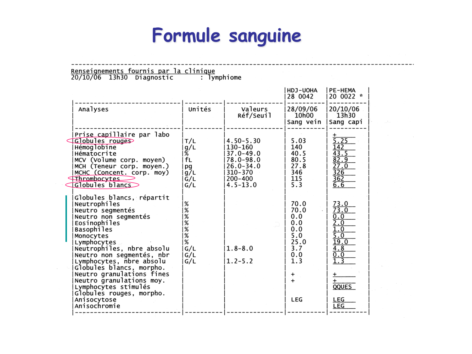 TP histologie — sang page 6