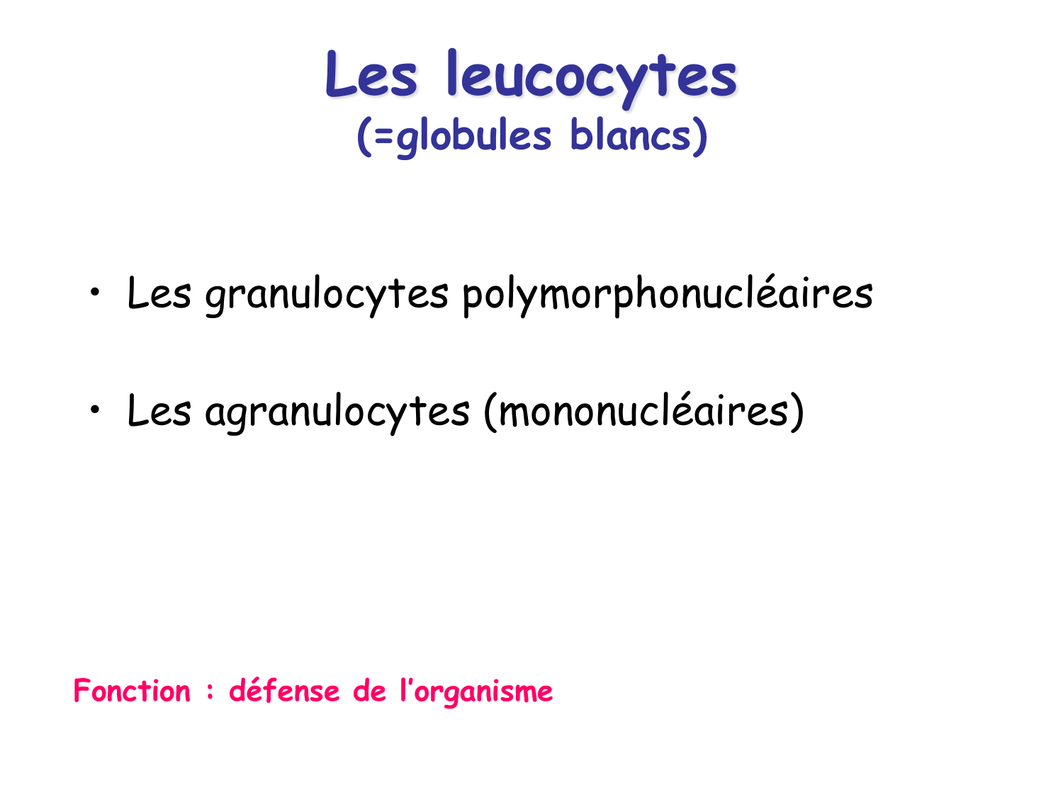 TP histologie — sang page 19